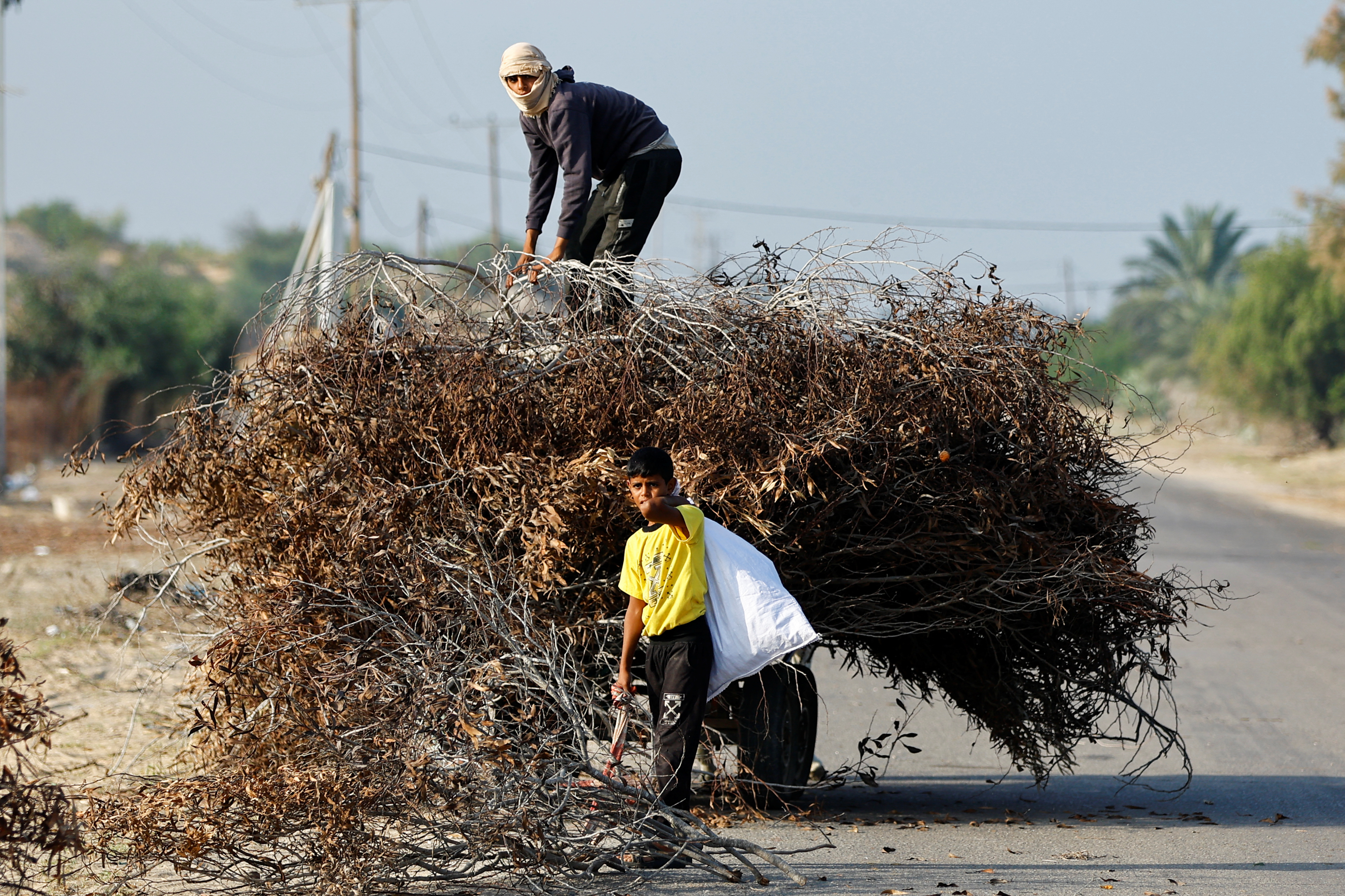 Palestinian children collect branches, amid fuel and cooking gas shortages, as the conflict between Israel and Hamas continues, in Khan Younis in the southern Gaza Strip