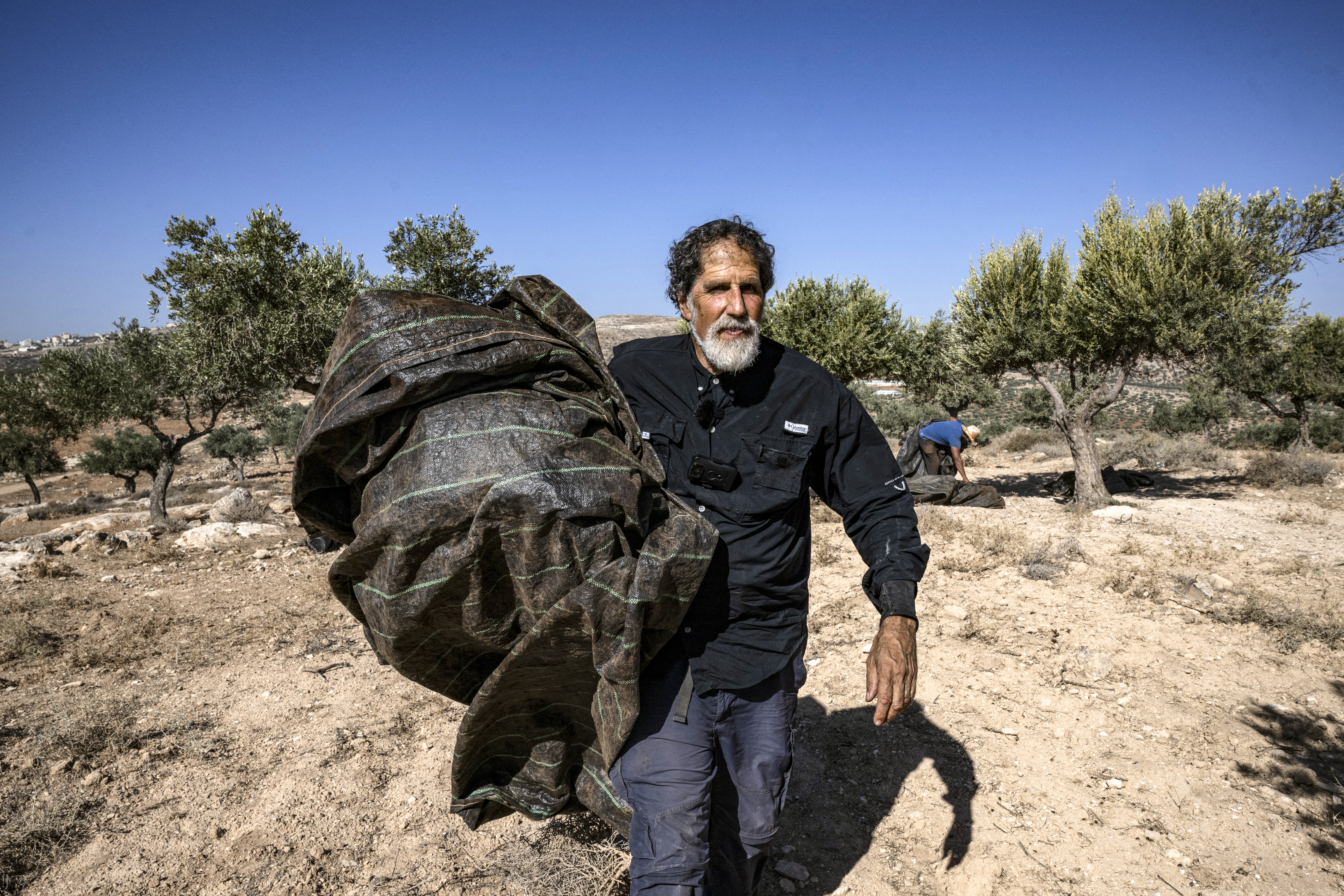 US-born Israeli Reform Jewish rabbi Arik Ascherman, a member of the Israeli human rights organization "Rabbis for Human Rights", helps Palestinians during the olive harvest at a grove outside Ramallah in the occupied West Bank.