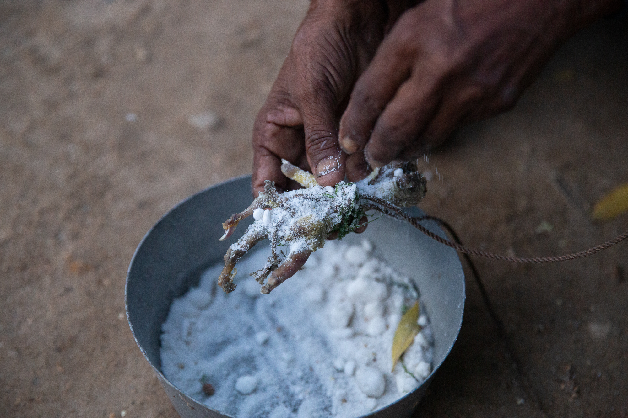 A photo someone dipping a piece of wood in salt.