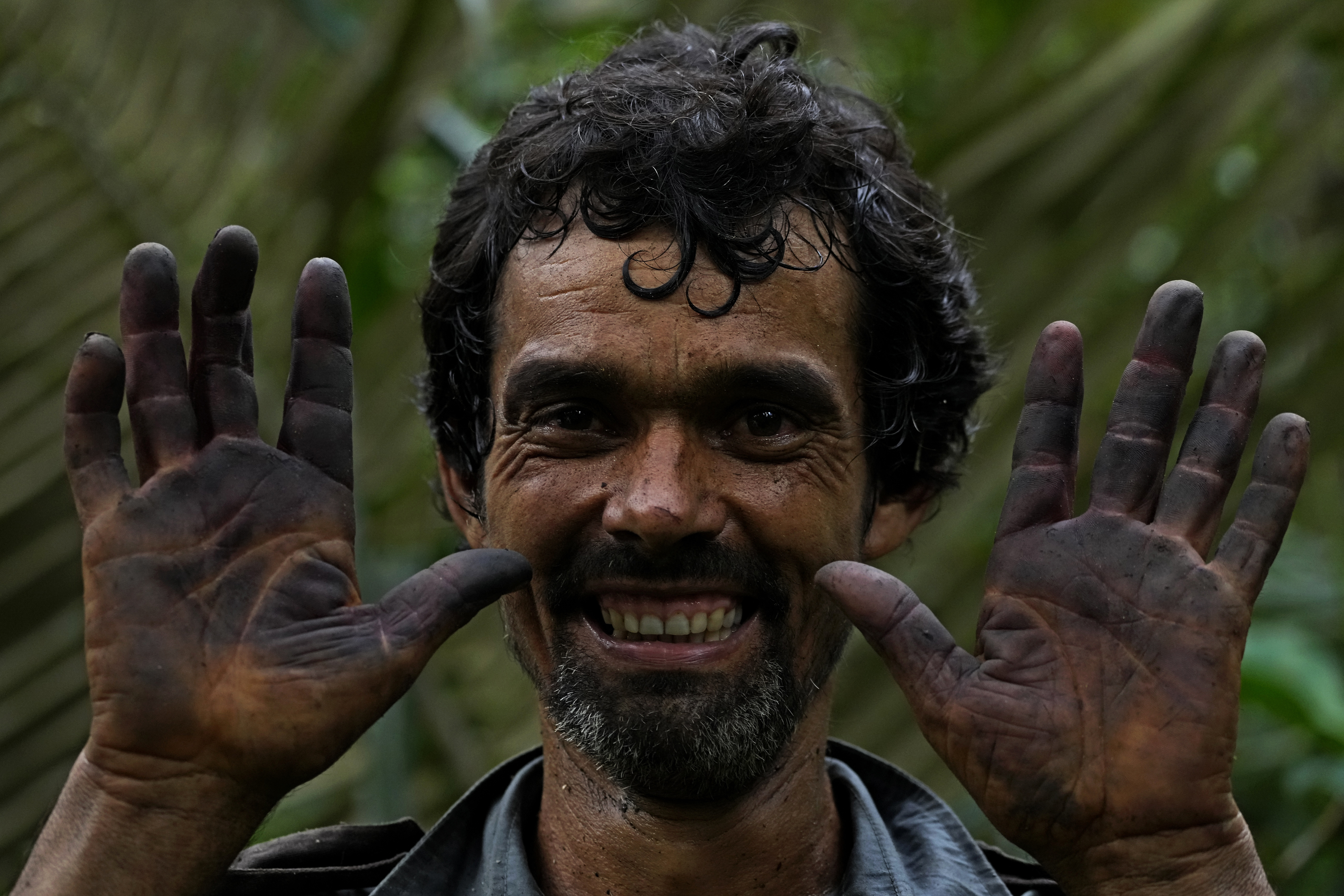 Edson Polinario holds up his hands dyed blue after handling Acai fruit berries in the forest of a rural area of his property in the municipality of Nova California, state of Rondonia, Brazil.