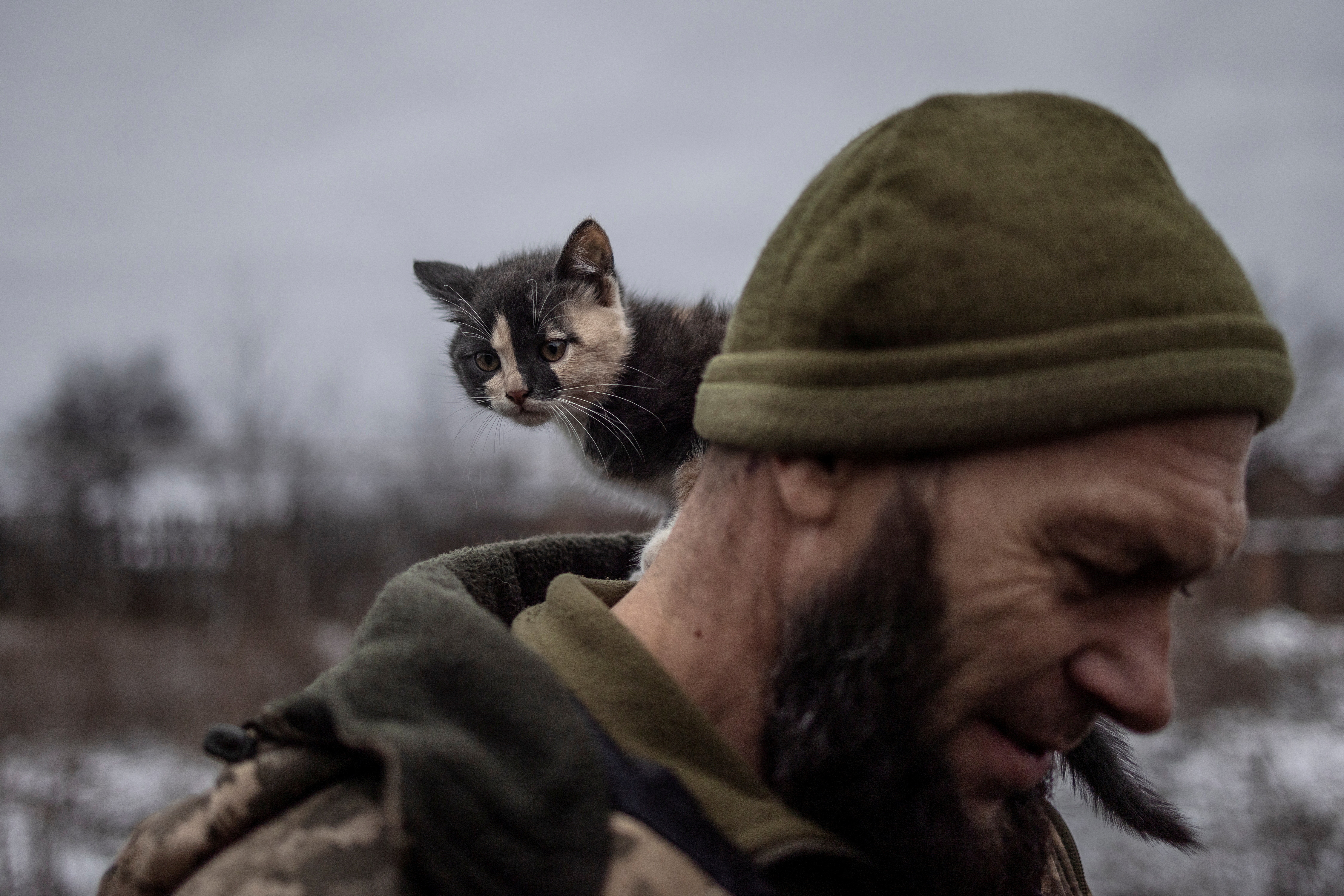 A Ukrainian soldier with a cat on his shoulder