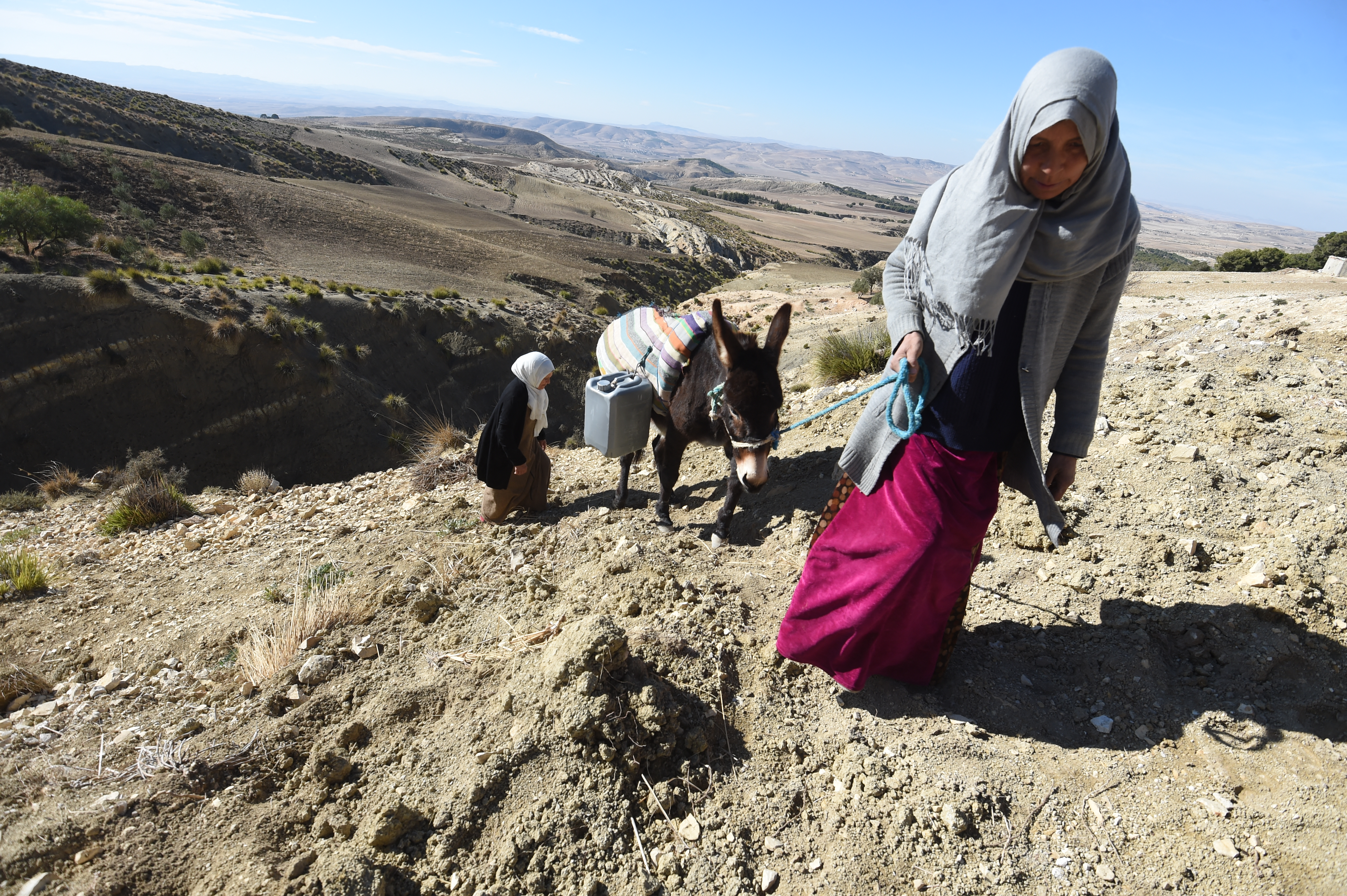 A Tunisian farmer transports water she filled up from a river on the back of a donkey in the remote Tunisian village of Ouled Omar, 180 kilometres southwest of the capital Tunis.