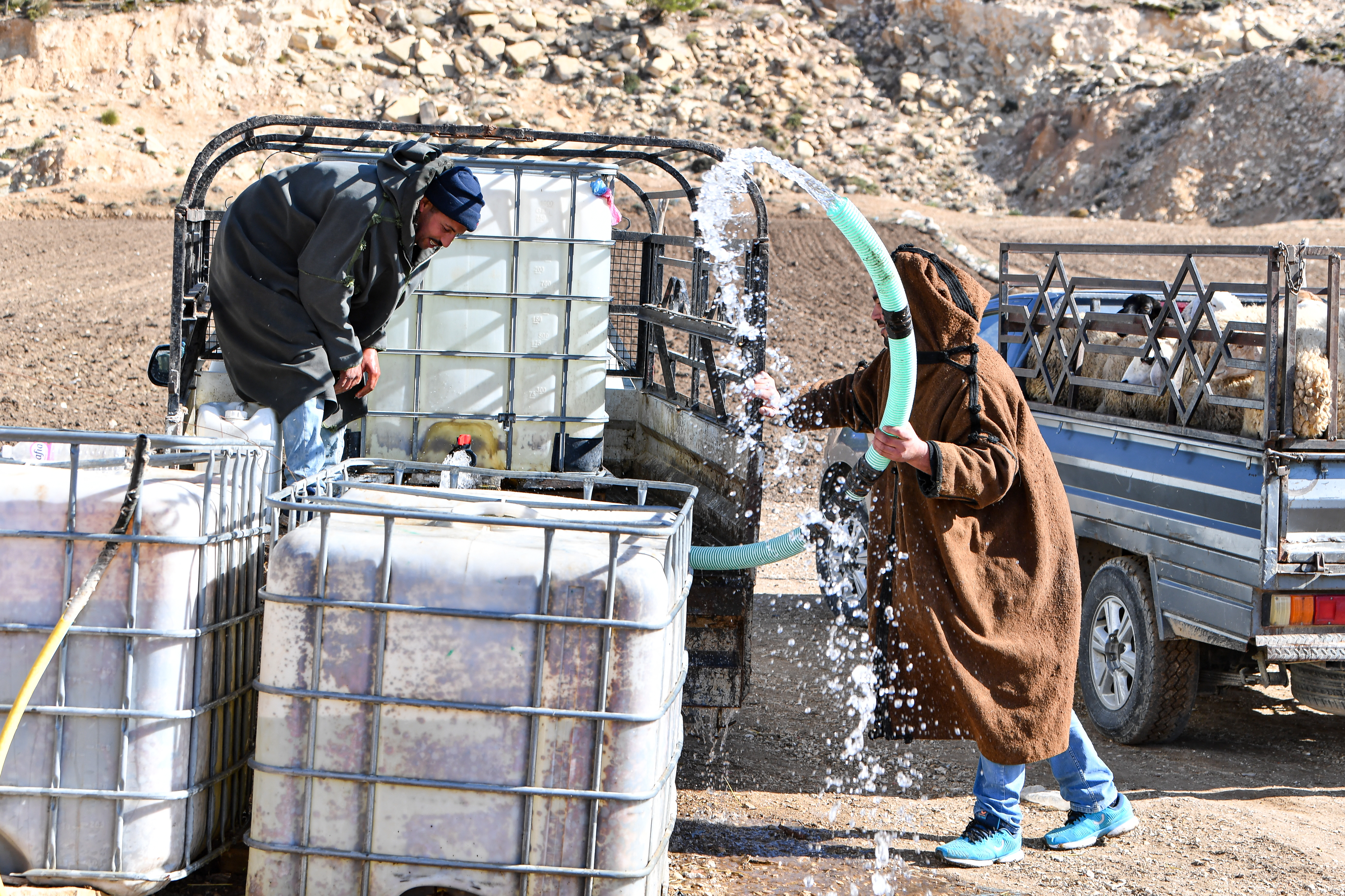 Farmers bring water by tanks for their livestock in the remote village of Ouled Omar, 180 kilometres southwest of the Tunisian capital.