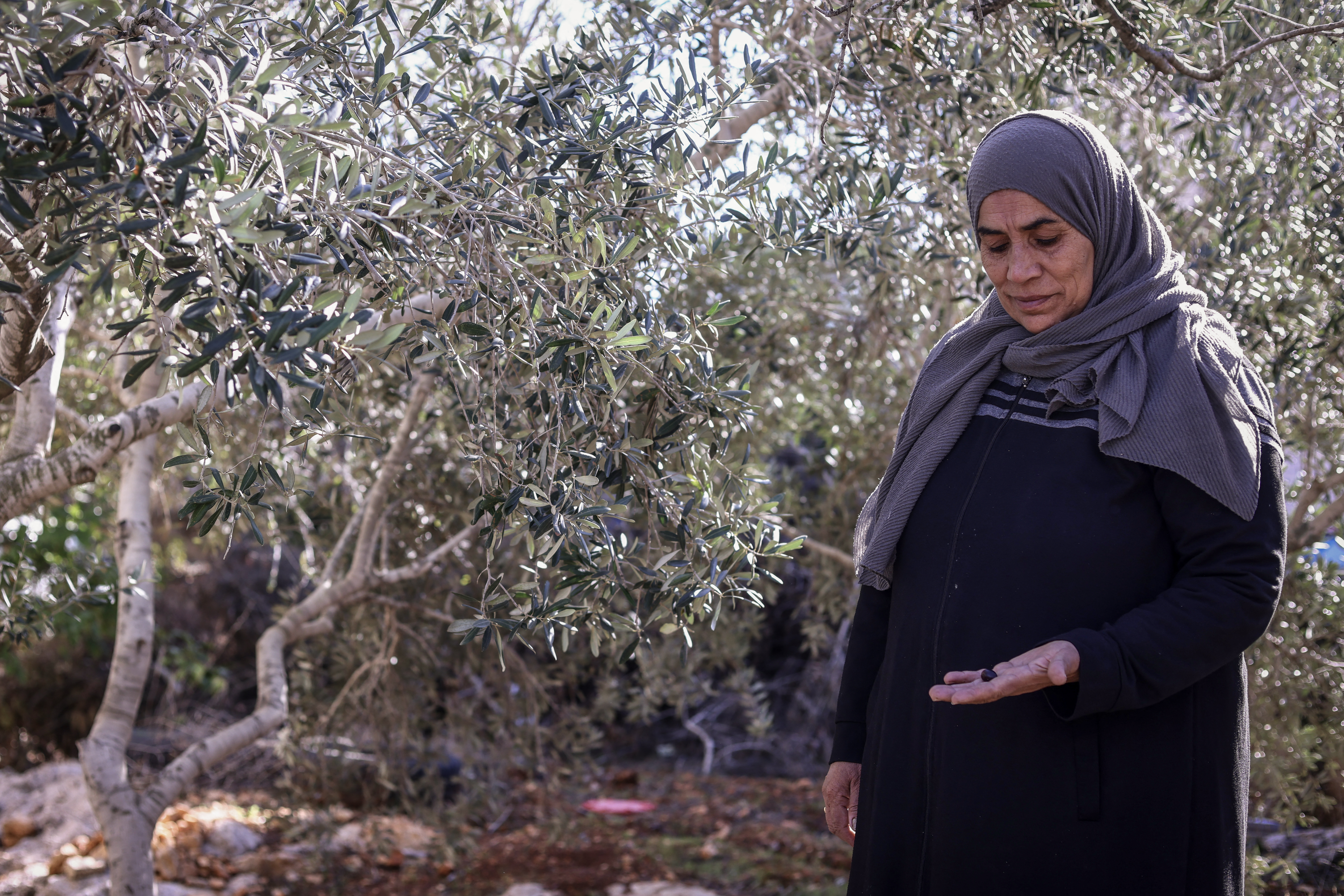 A relative of Palestinian Bilal Saleh, stands near olive trees in the village of As-Sawiyah, south of Nablus in the occupied West Bank.