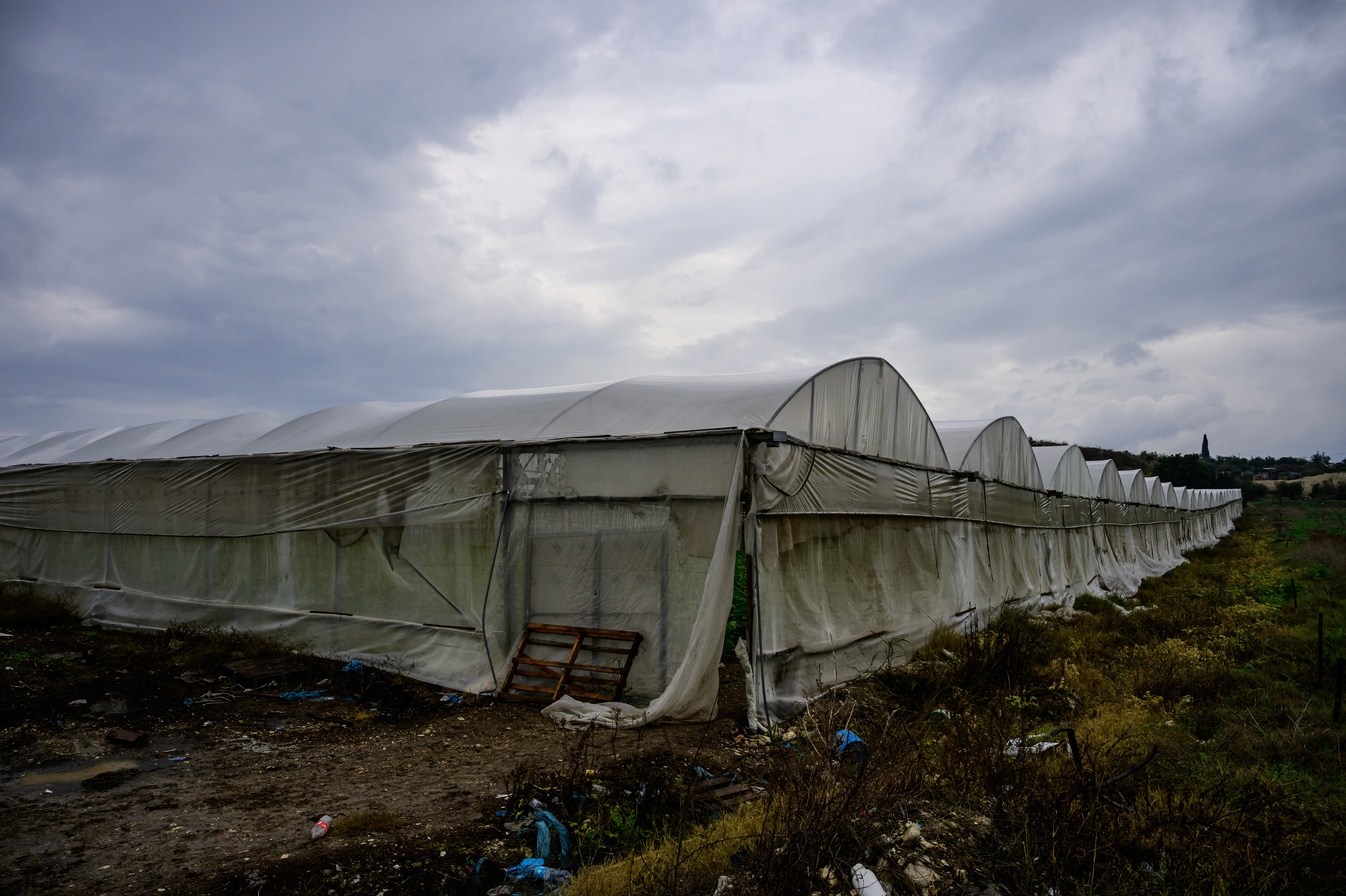 This picture shows a view of greenhouse farms in Baqa al-Gharbiya.