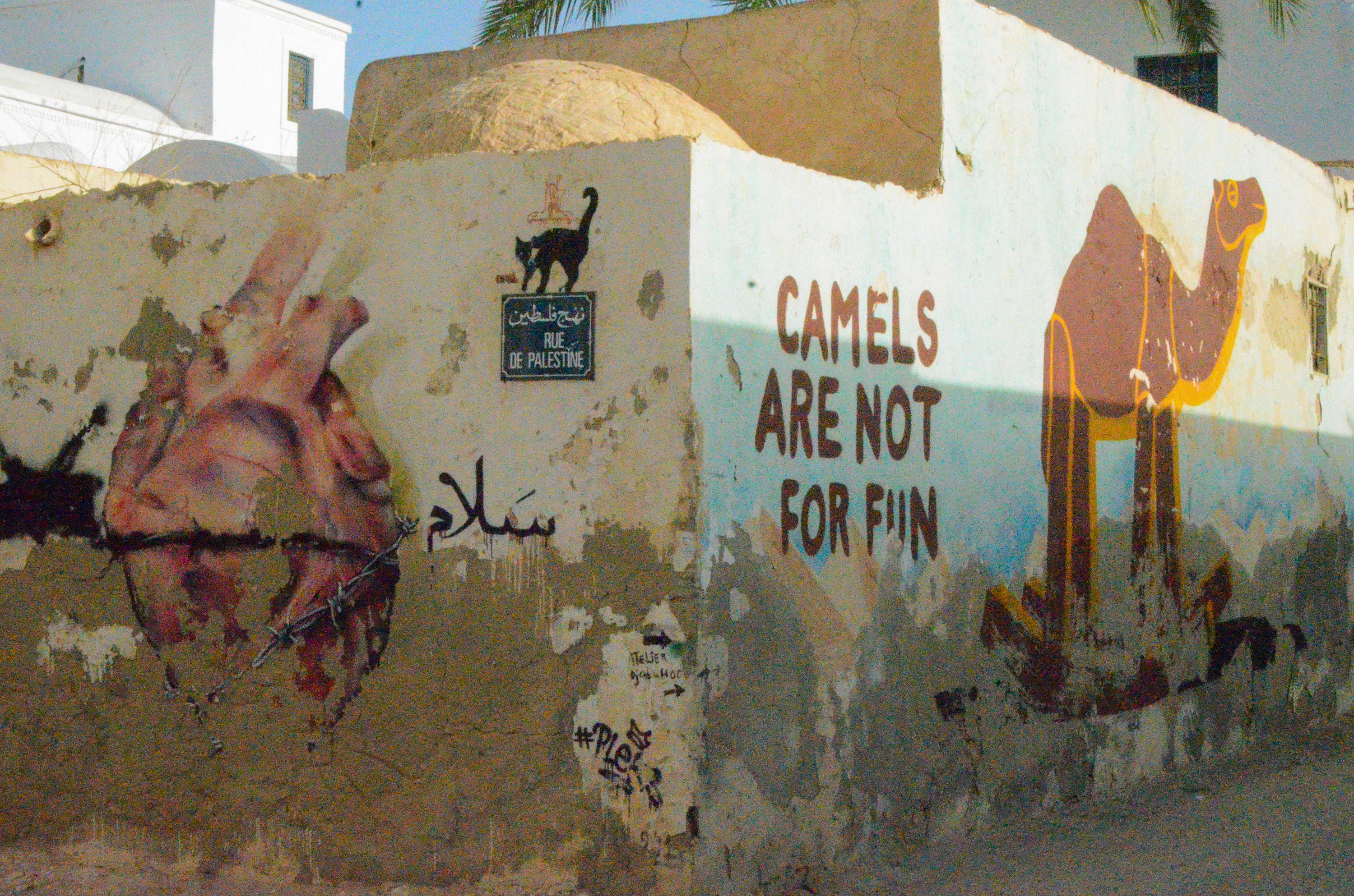 Tunis street art