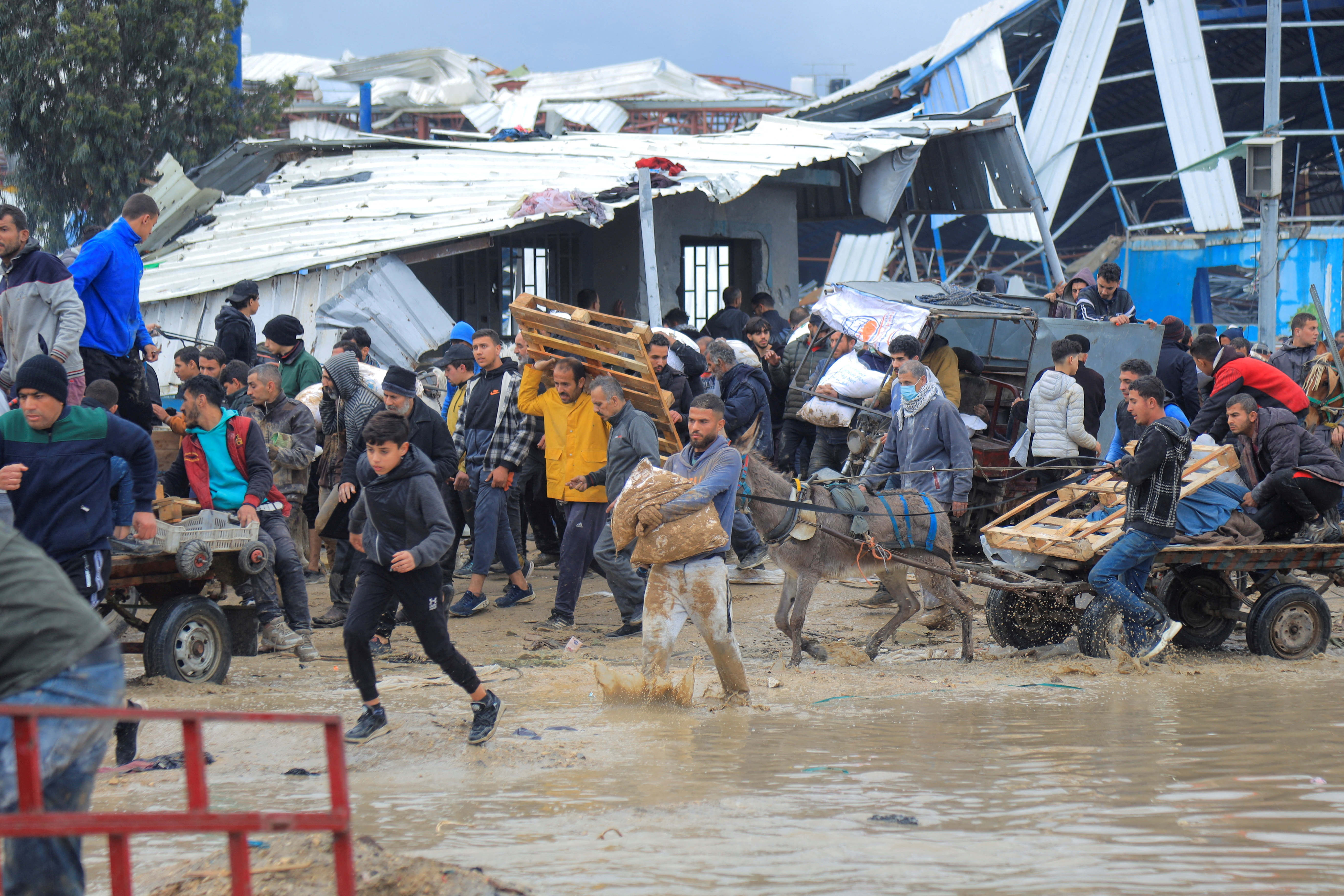 Palestinians carry bags of flour they grabbed from an aid truck near an Israeli checkpoint, as Gaza residents face crisis levels of hunger, amid the ongoing conflict between Israel and Hamas, in Gaza City January 27, 2024