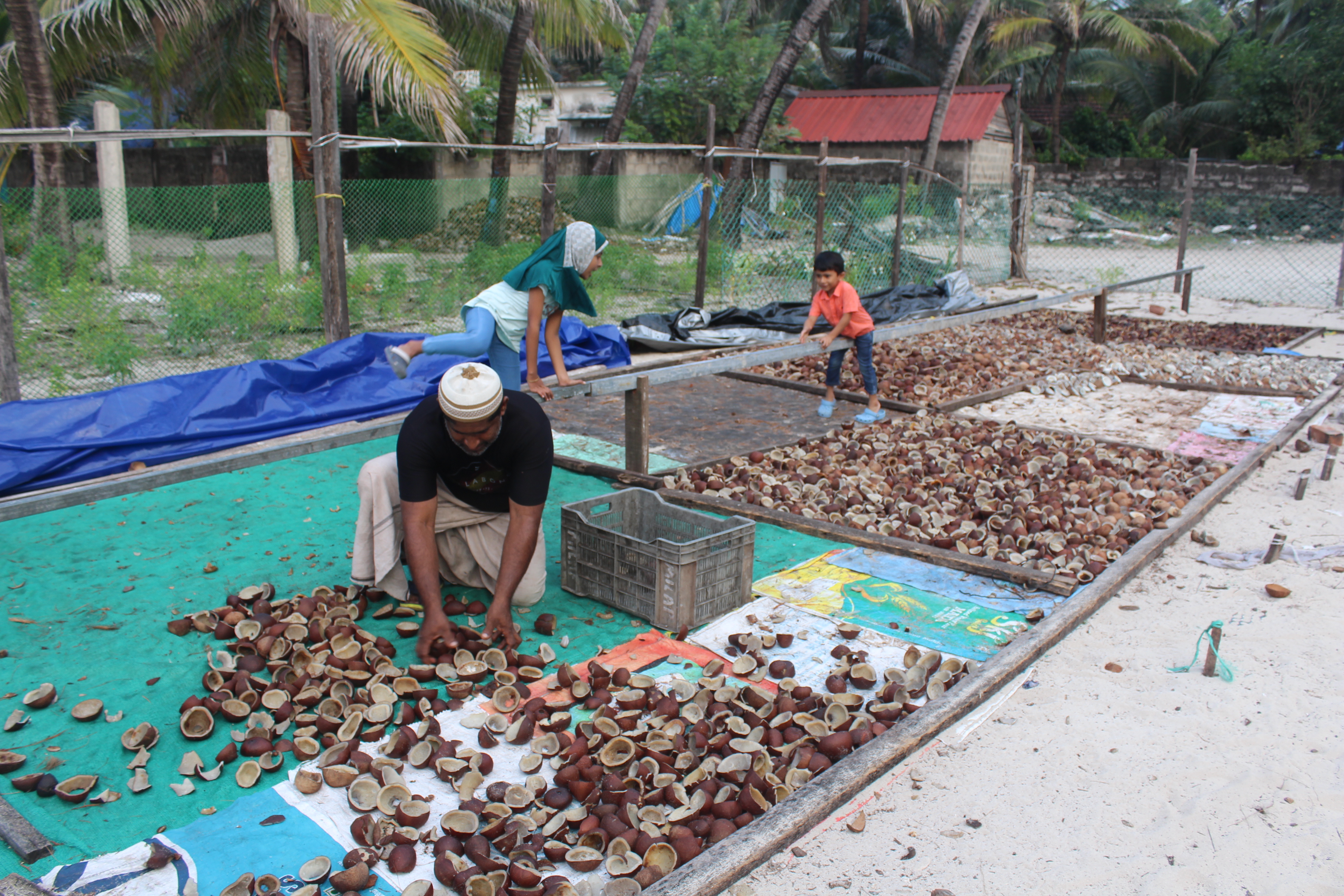 A man works with copra, traditionally one of Lakshadweep's big sources of revenue. The copra is sold on the mainland [Salahuddin/ Al Jazeera]