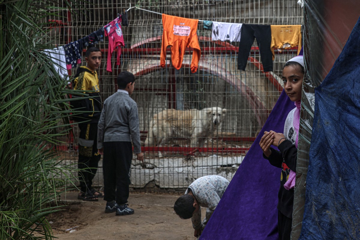 A displaced Palestinian family takes shelter near an animal cage at the zoo in Rafah in the southern Gaza Strip, on January 2, 2024, where displaced Palestinians sought refuge amid the ongoing conflict between Israel and the militant group Hamas.