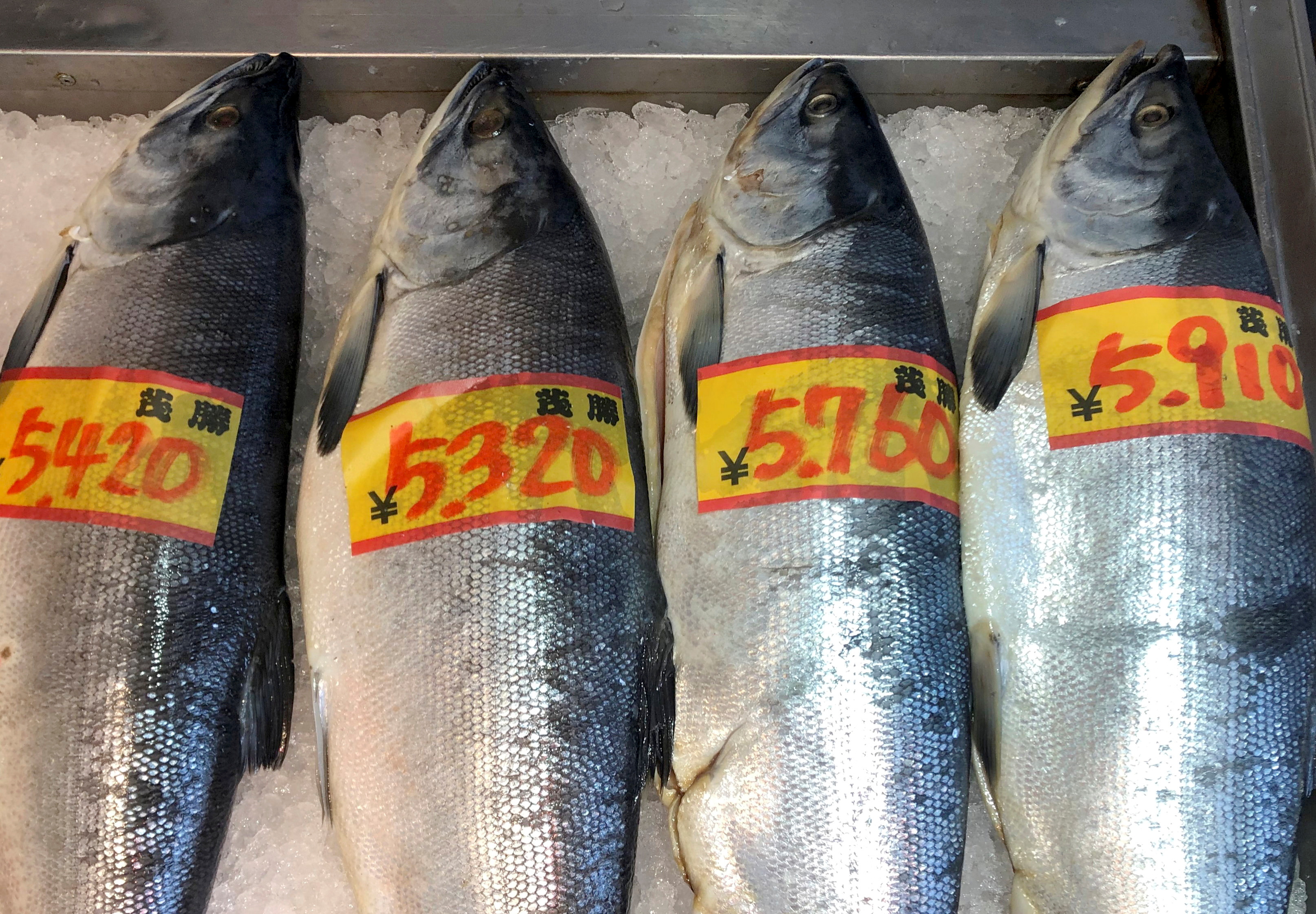 Russian salmon are displayed at a fish store, amid Russia's invasion of Ukraine, in Nemuro on Japan's northern island of Hokkaido, April 11, 2022. Picture taken April 11, 2022. REUTERS/Daniel Leussink