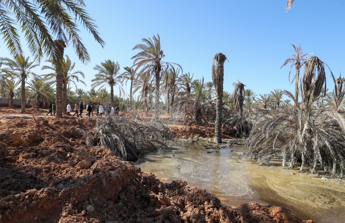 Members of the Libyan Society for the Protection of the Environment visit Libya's coastal city of Zliten
