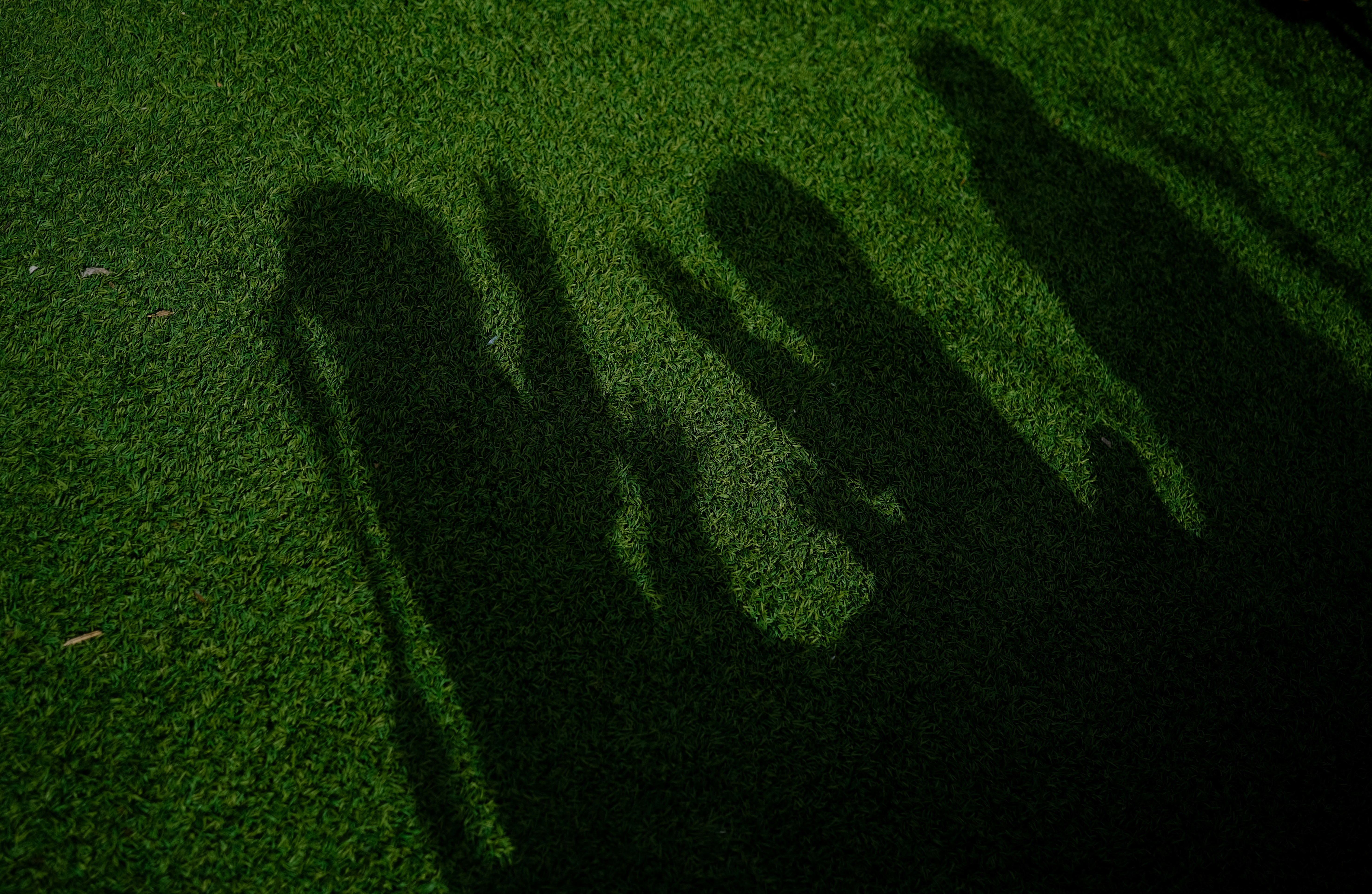The silhouettes of children are seen on synthetic grass as they play with their hands at a garden in Barcelona, Spain, where the birthrate is set to fall the most sharply in Western Europe, February 26, 2024 [Nacho Doce/Reuters]