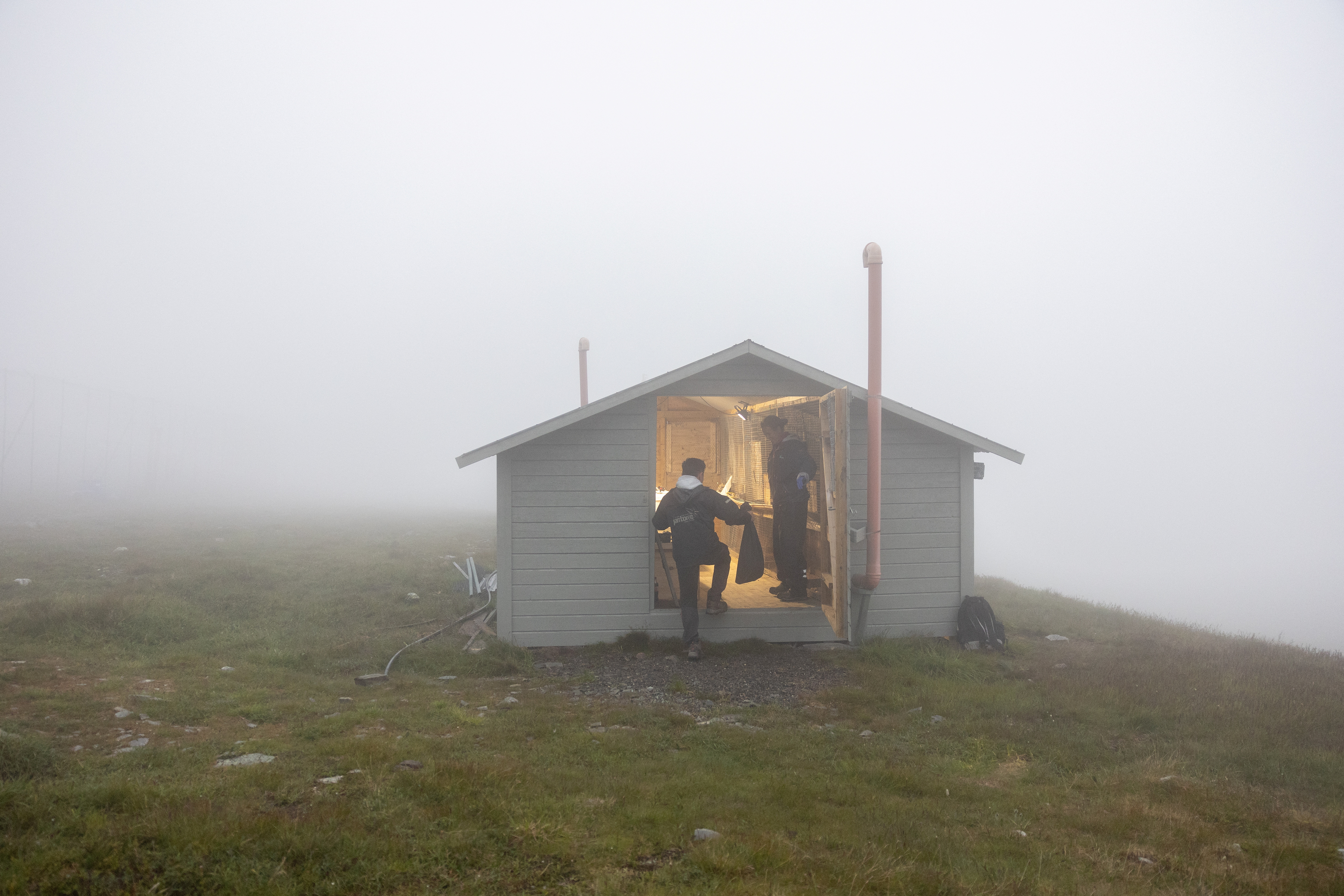 Biologist Kang Nian Jap carries an Arctic fox pup inside a bag to perform a medical check-up, at the Arctic Fox Captive Breeding Station run by Norwegian Institute for Nature Research (NINA) near Oppdal, Norway, July 25