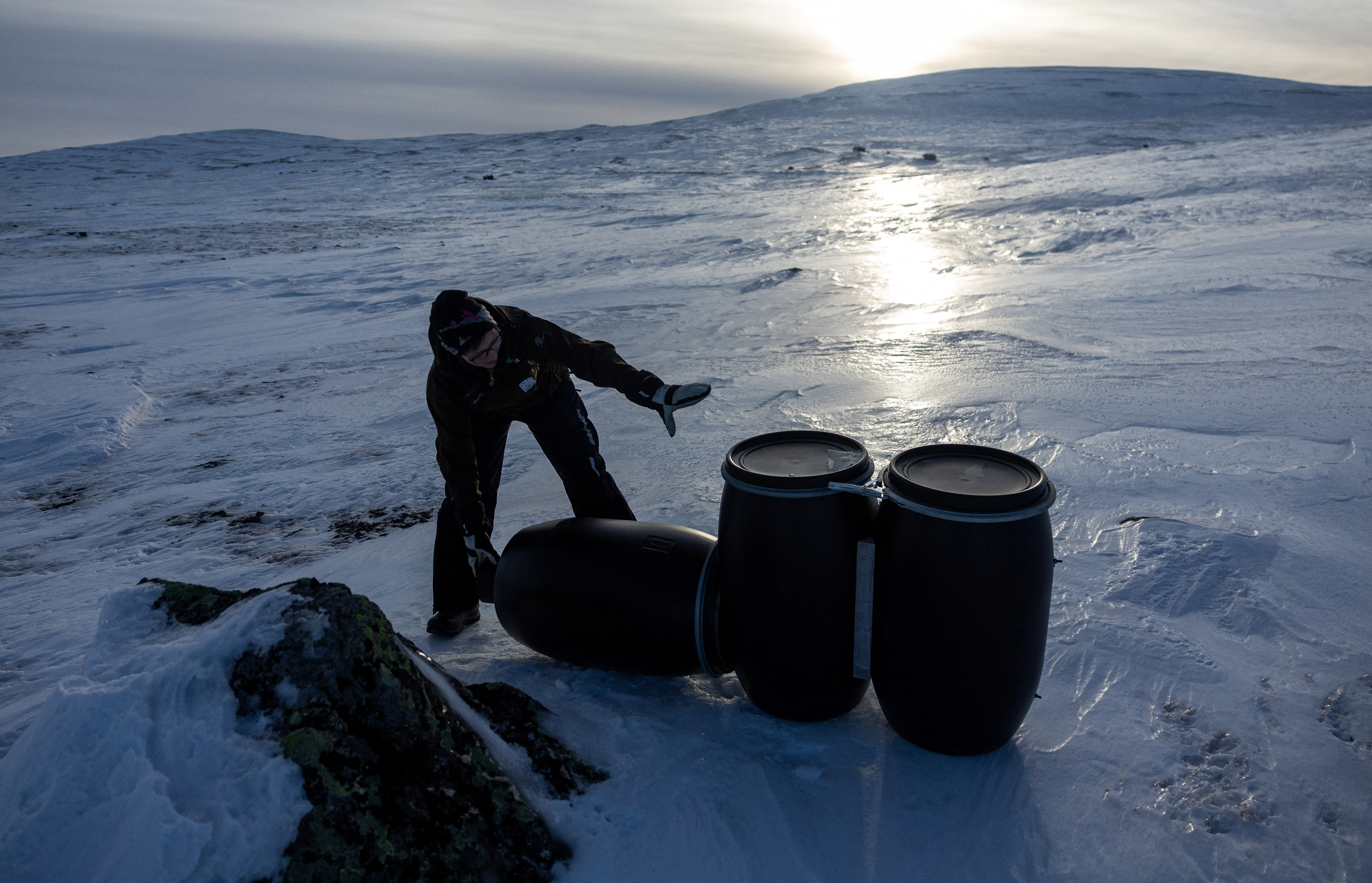 Conservation biologist Kristine Ulvund checks a supplementary feeding station for Arctic foxes, near the Arctic Fox Captive Breeding Station run by Norwegian Institute for Nature Research (NINA) near Oppdal, Norway, January 30