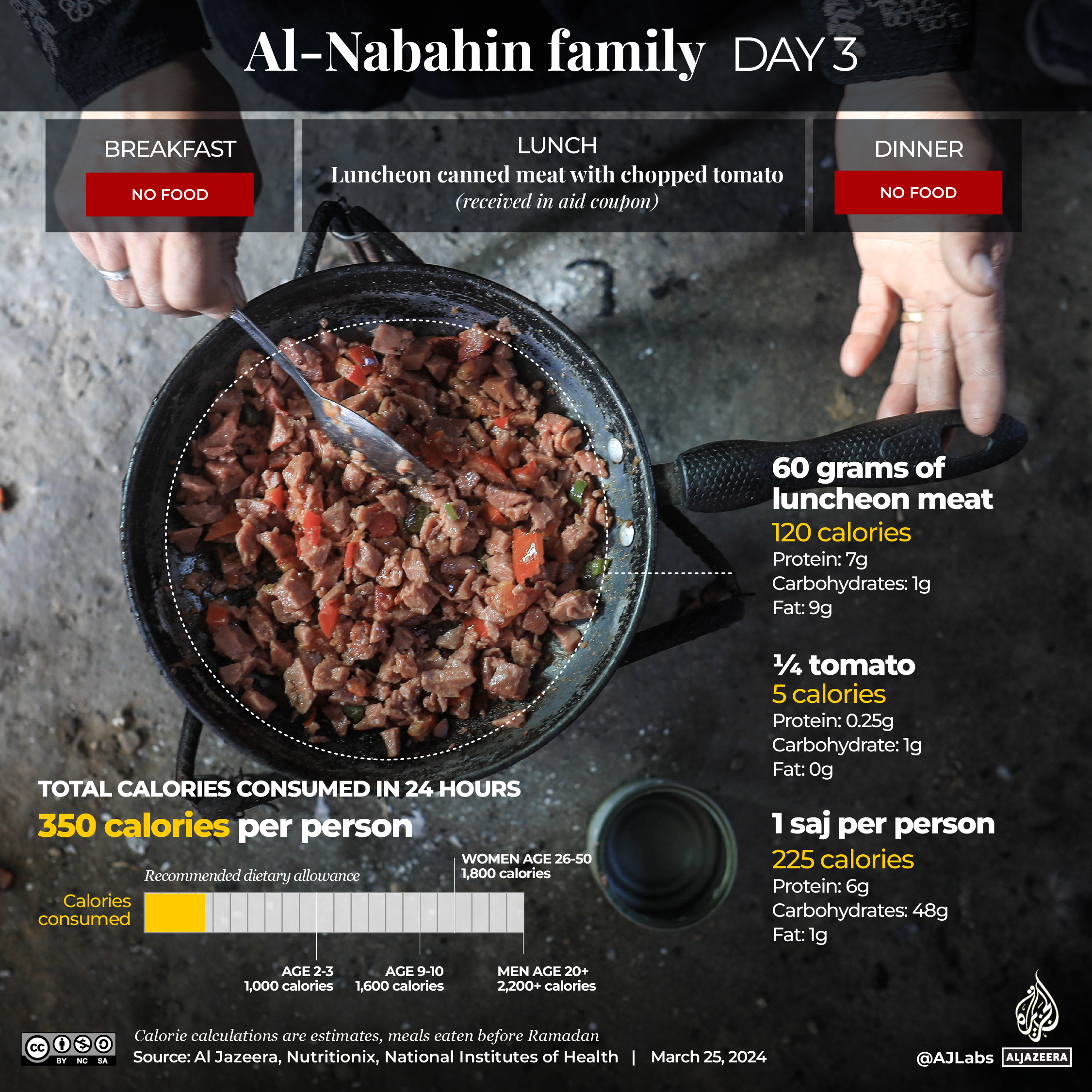 Interactive_Nabahin_family_Day3