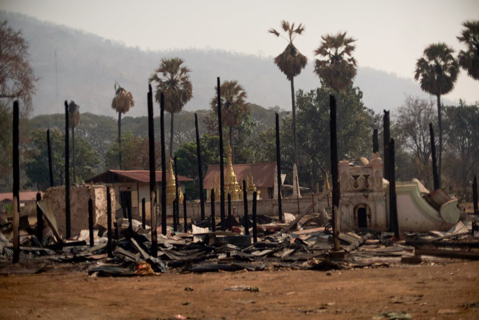 Blackened trees and burned down buildings in Shadaw.