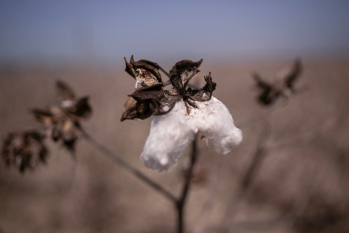 Greek valley that became a lake stirs drought debate