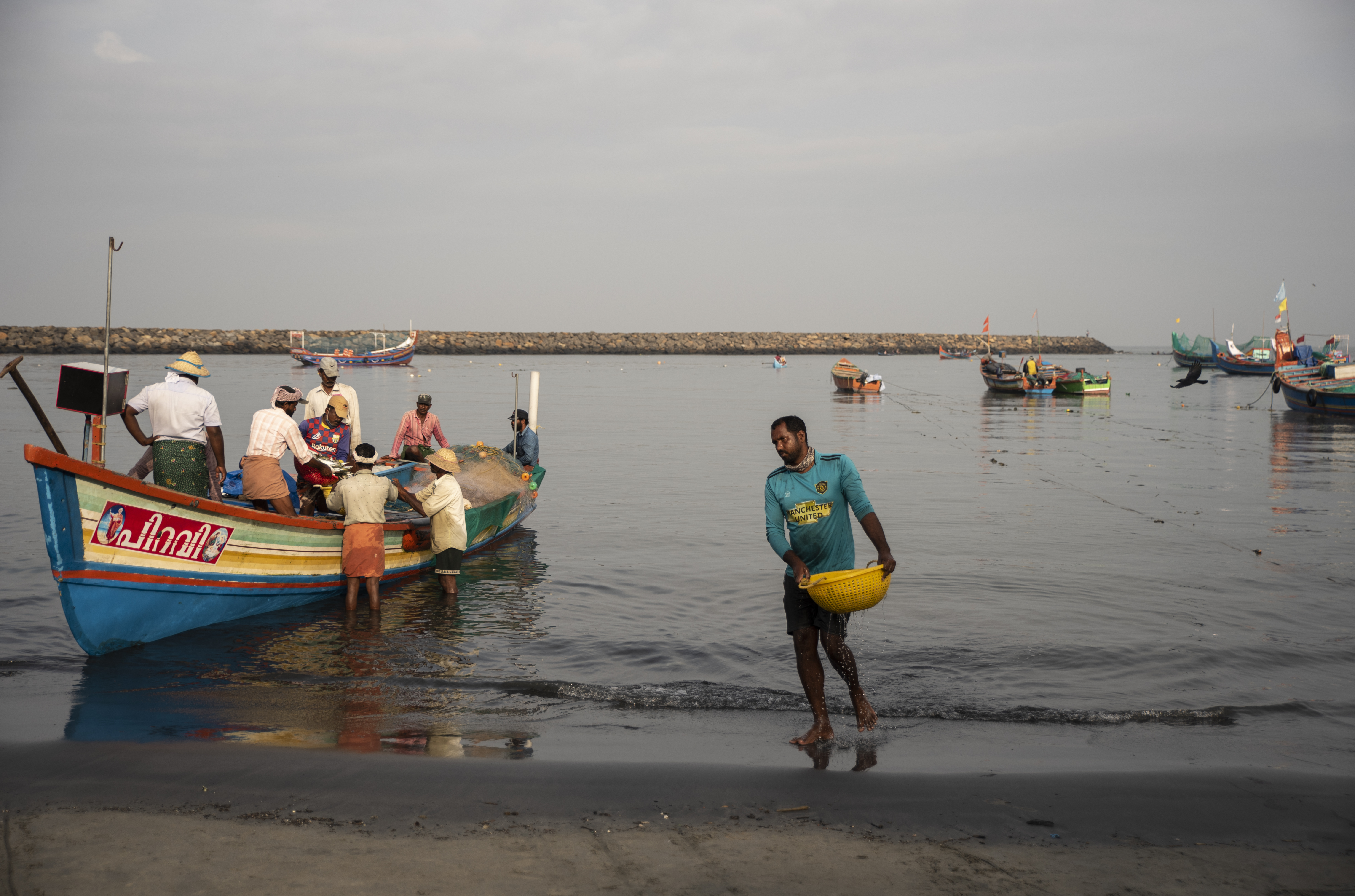 A fisherman walks to the shore carrying a basket of fish at a fishing harbor on the Arabian Sea coast in Kochi, Kerala state, India, Monday, Sept.20, 2021. (AP Photo/R S Iyer)
