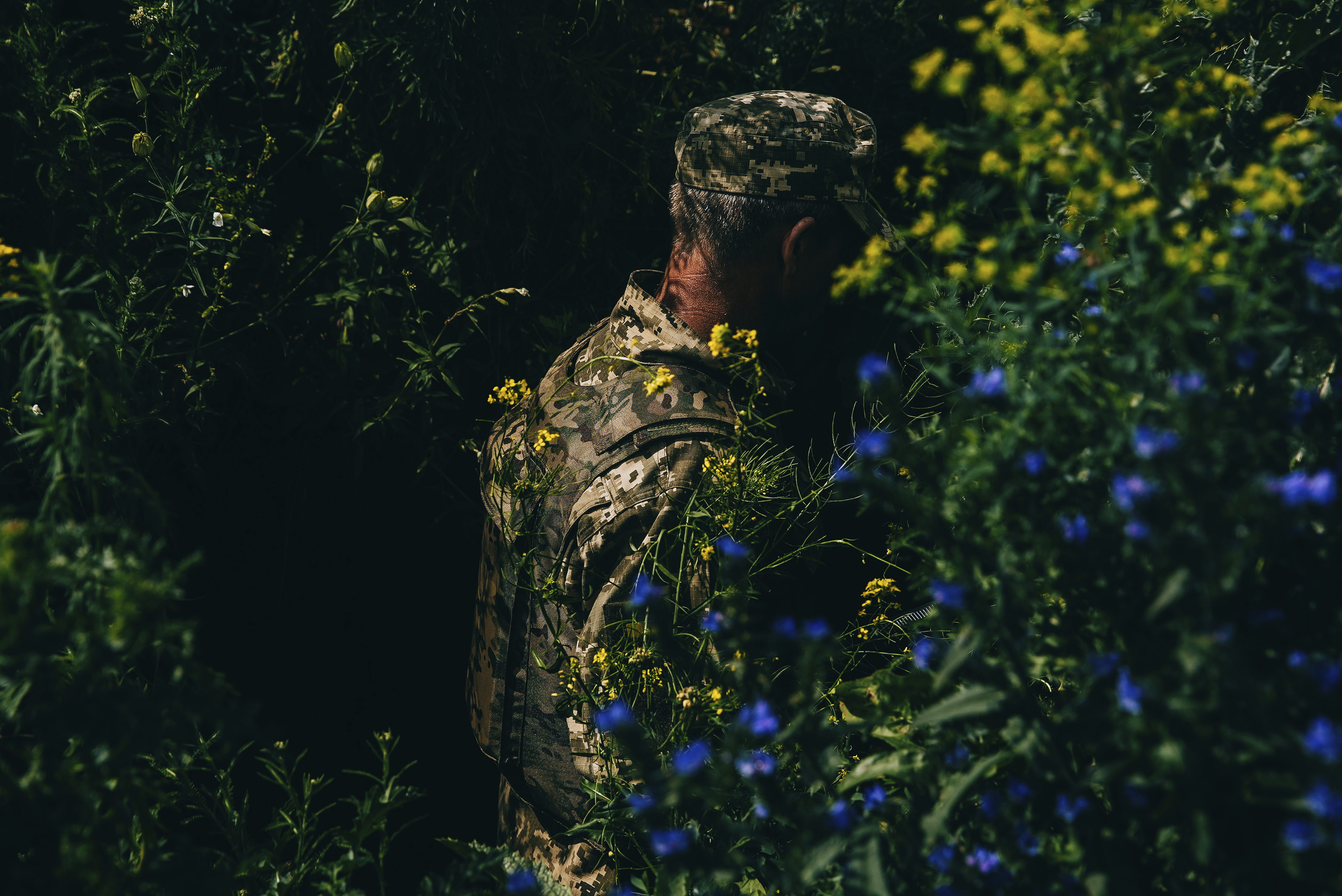 World Press Photo Winners