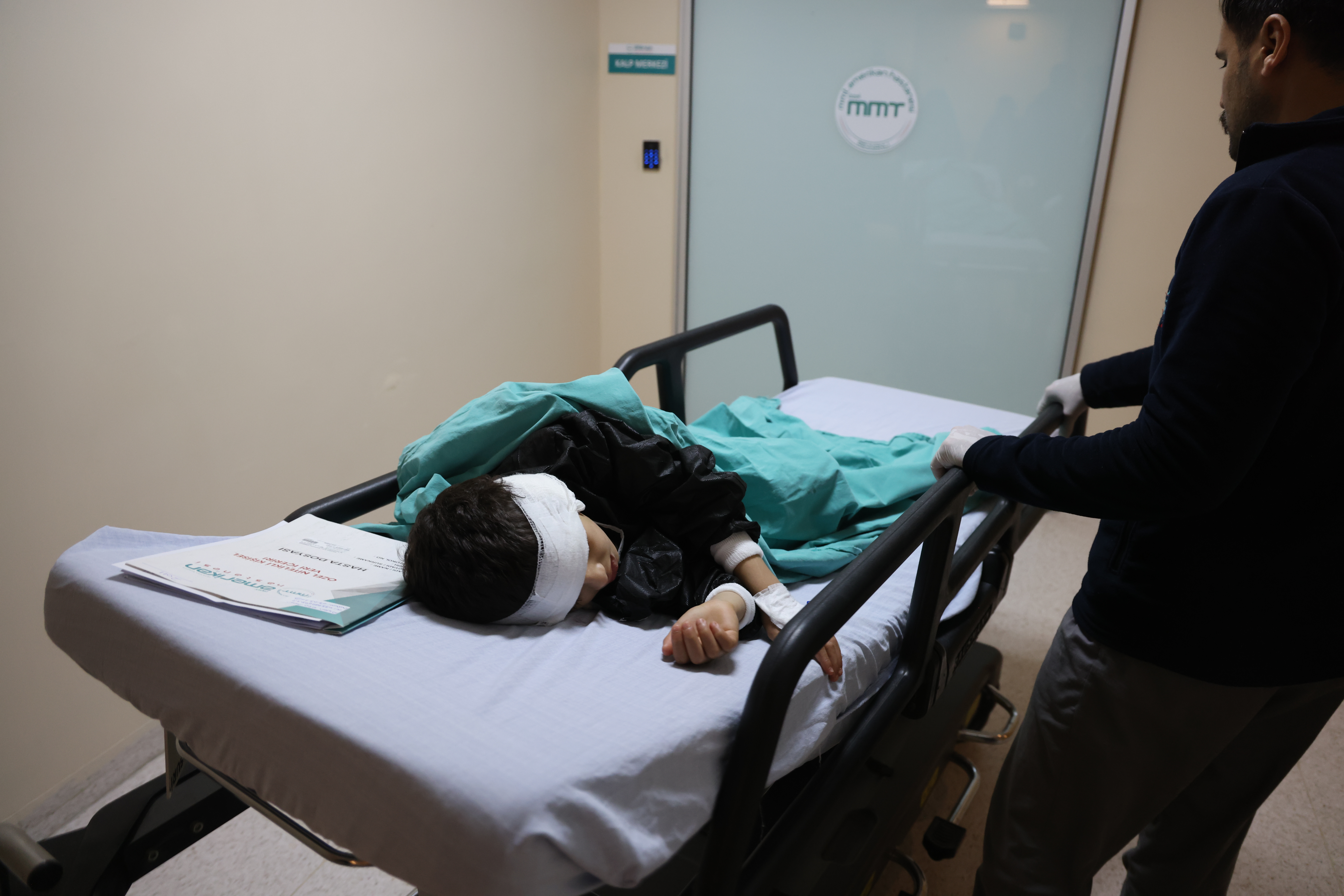 Aslan curled out on a gurney, out cold and looking very small