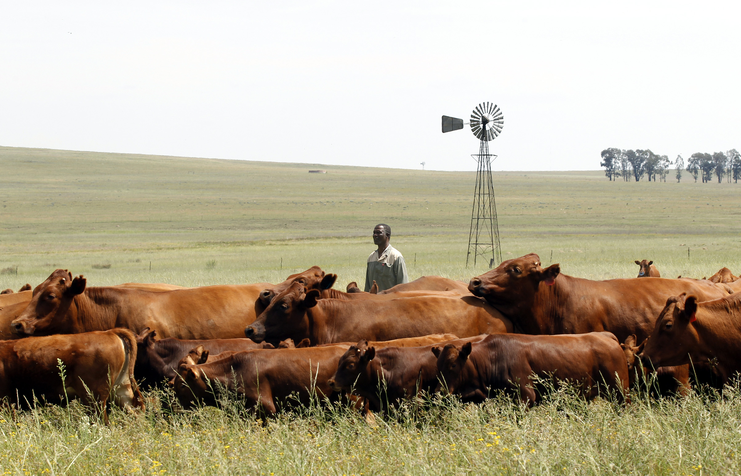 A farm worker in South Africa