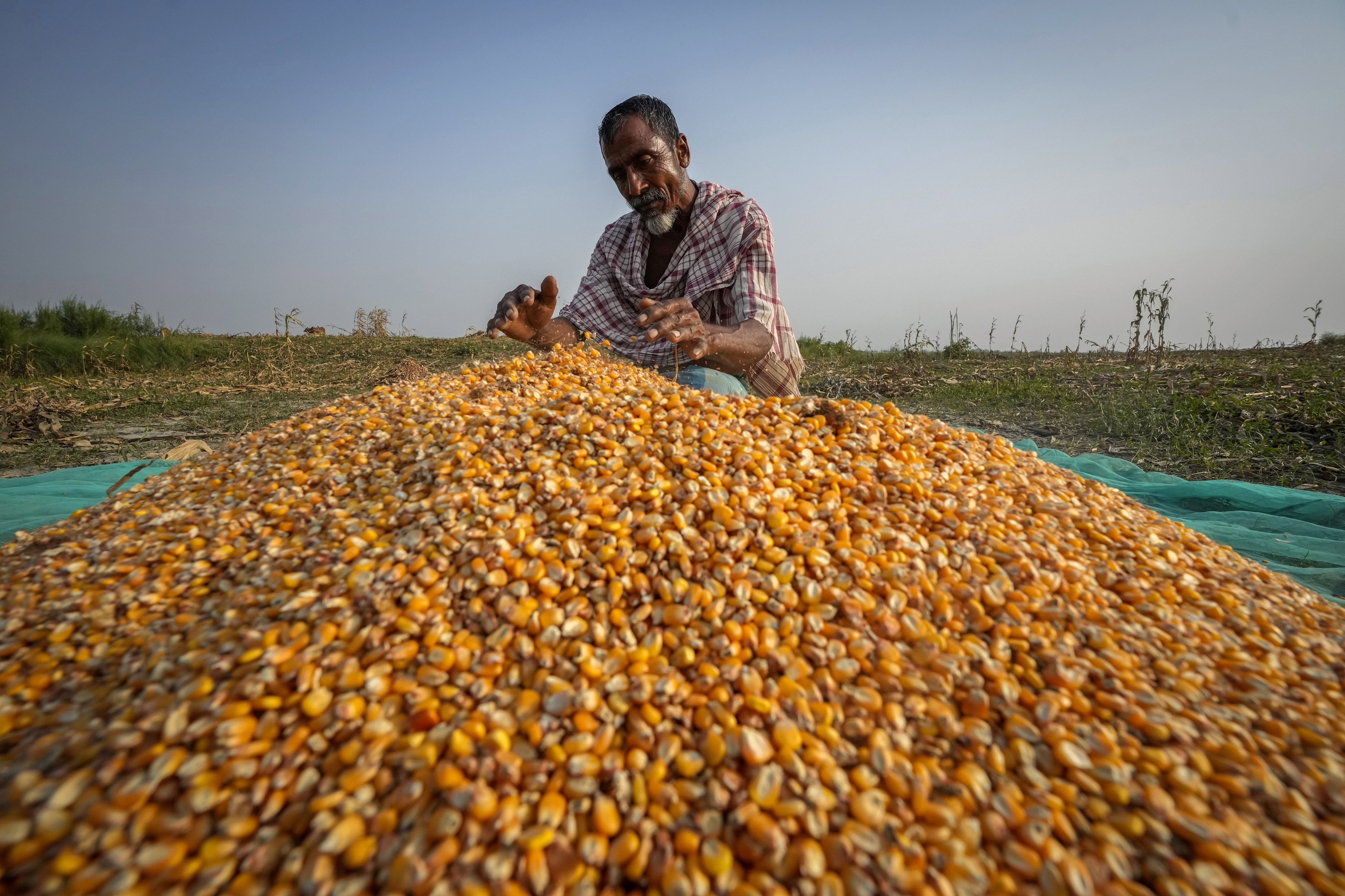 India's river islanders return home in between floods