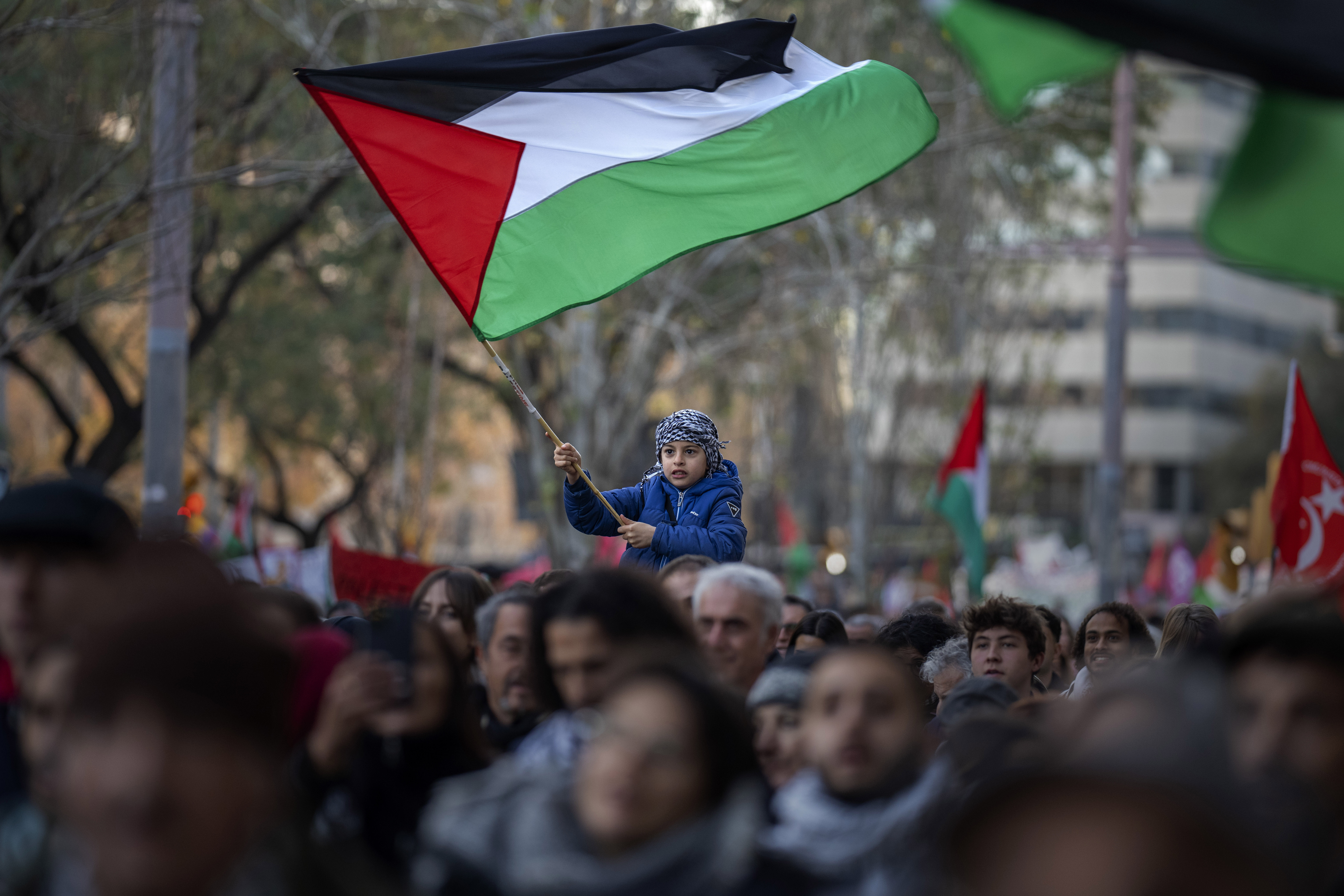 A boy waves a Palestinian flag