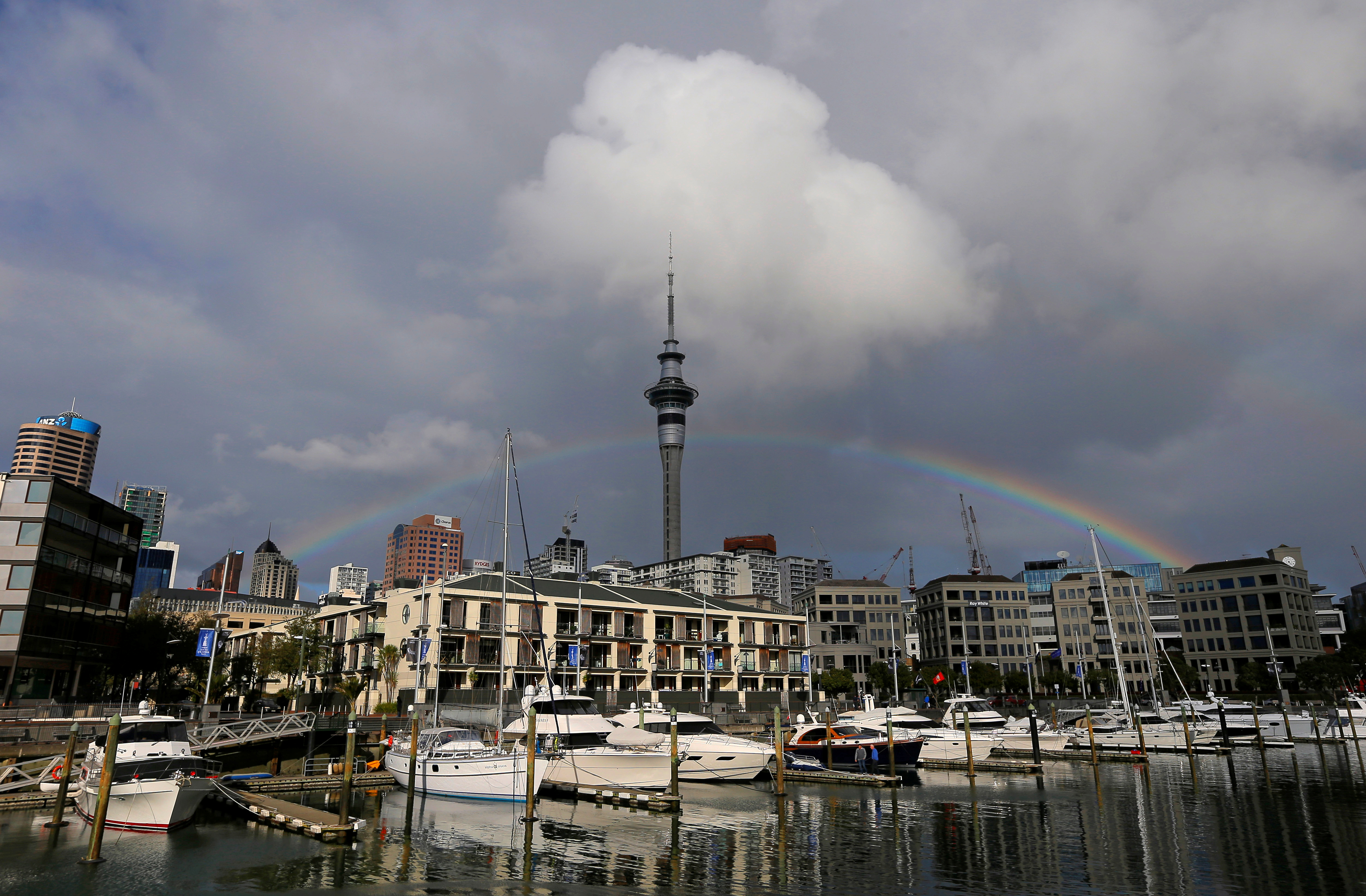 nz