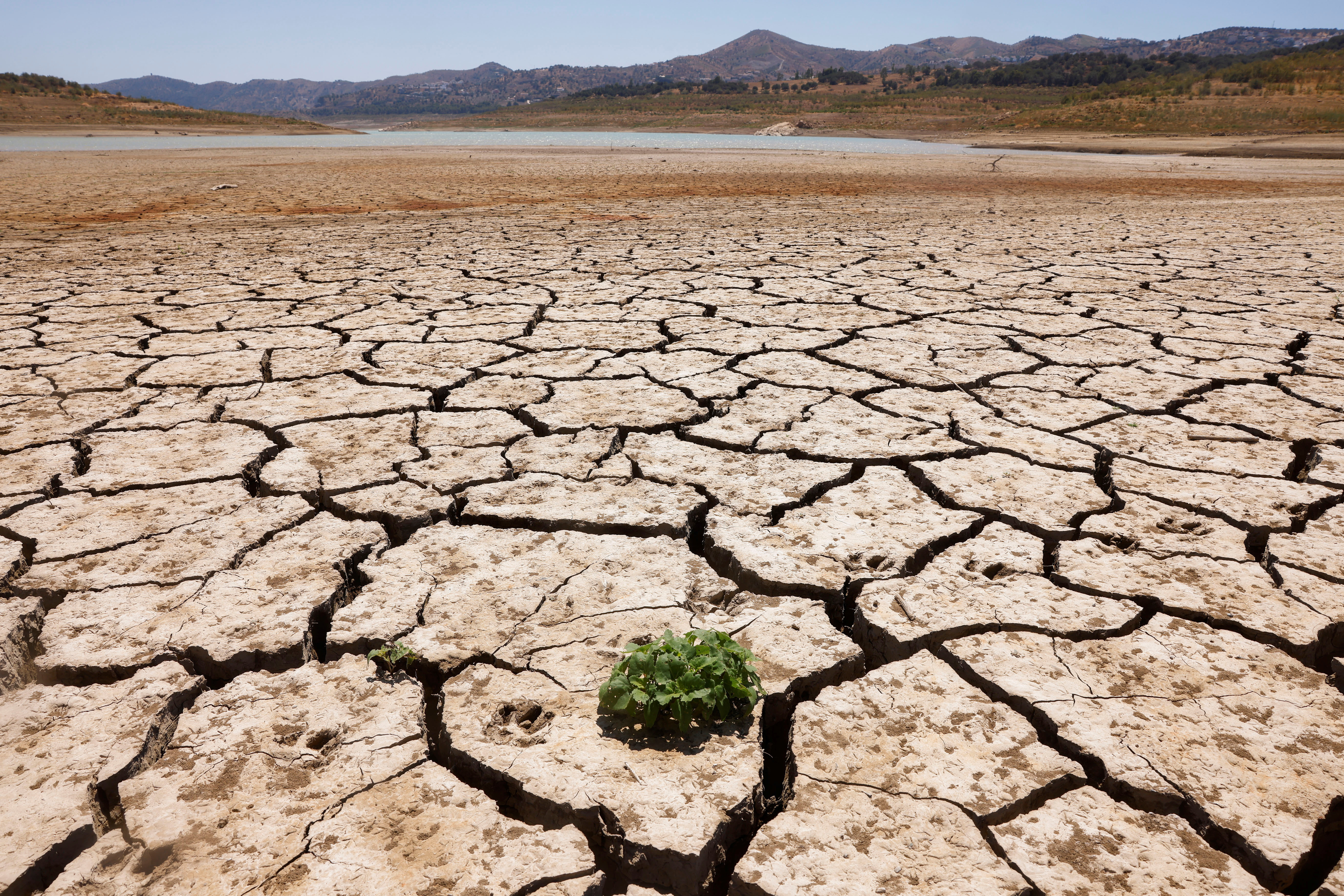 drought in Spain