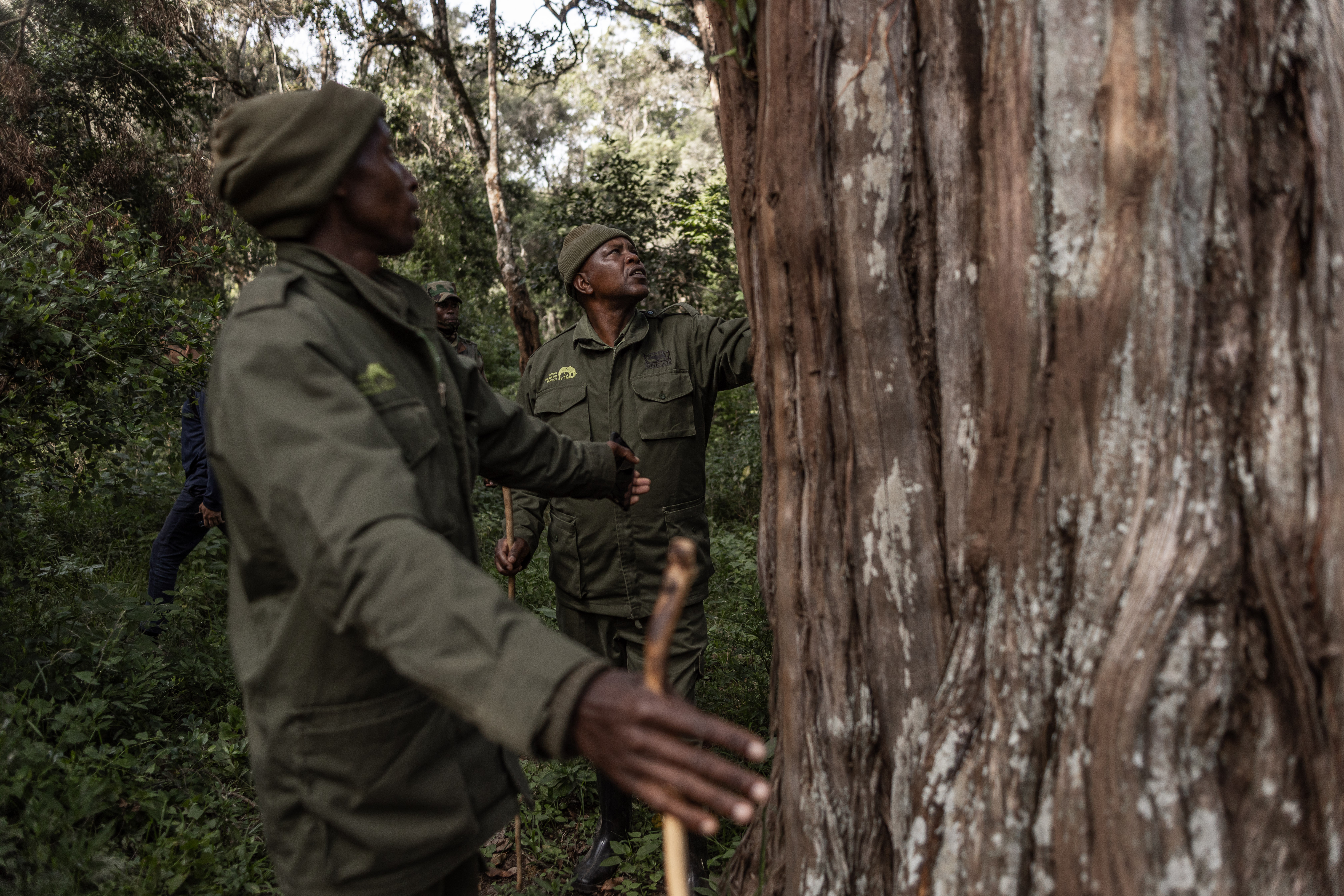 Kenya rangers