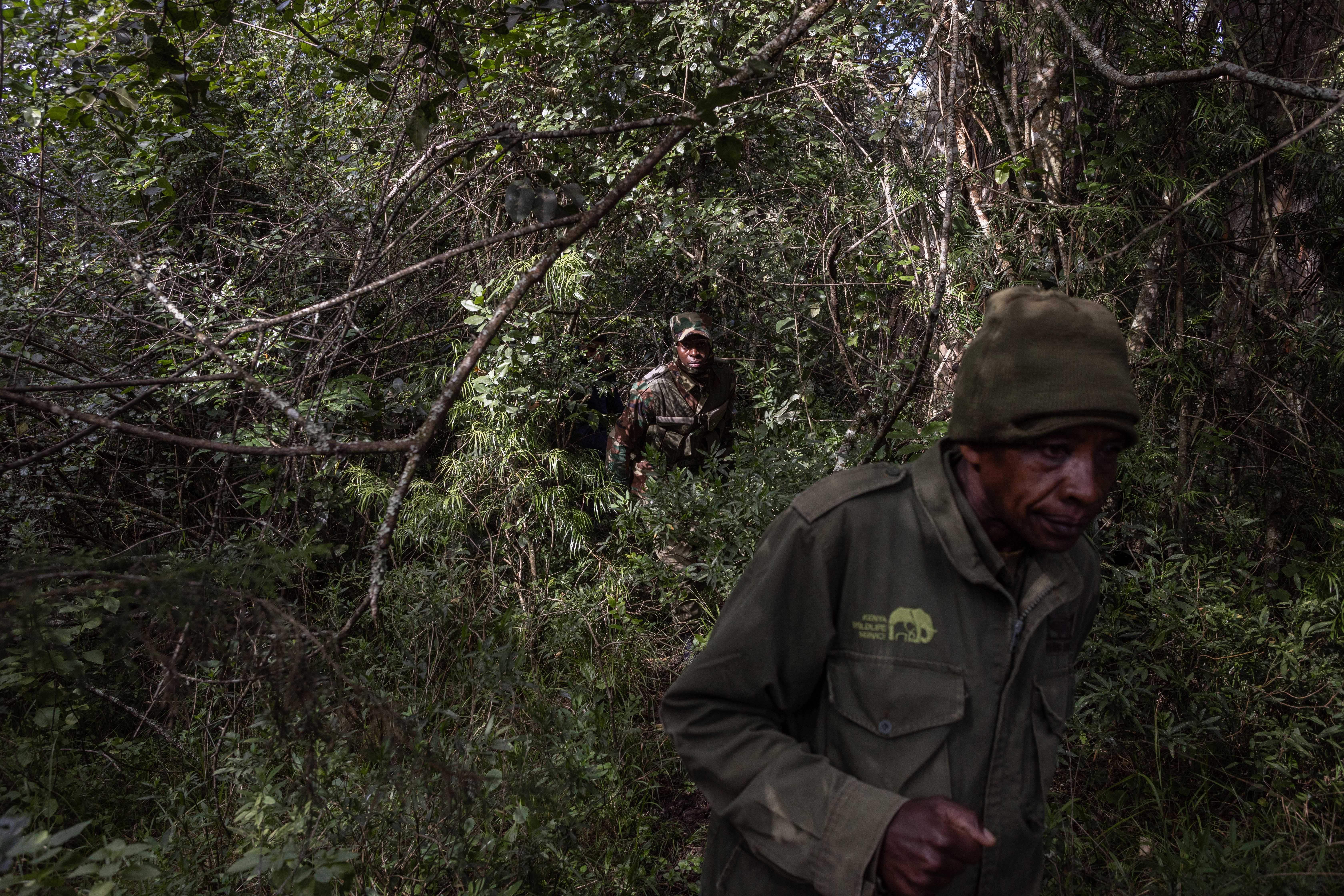 Kenya rangers