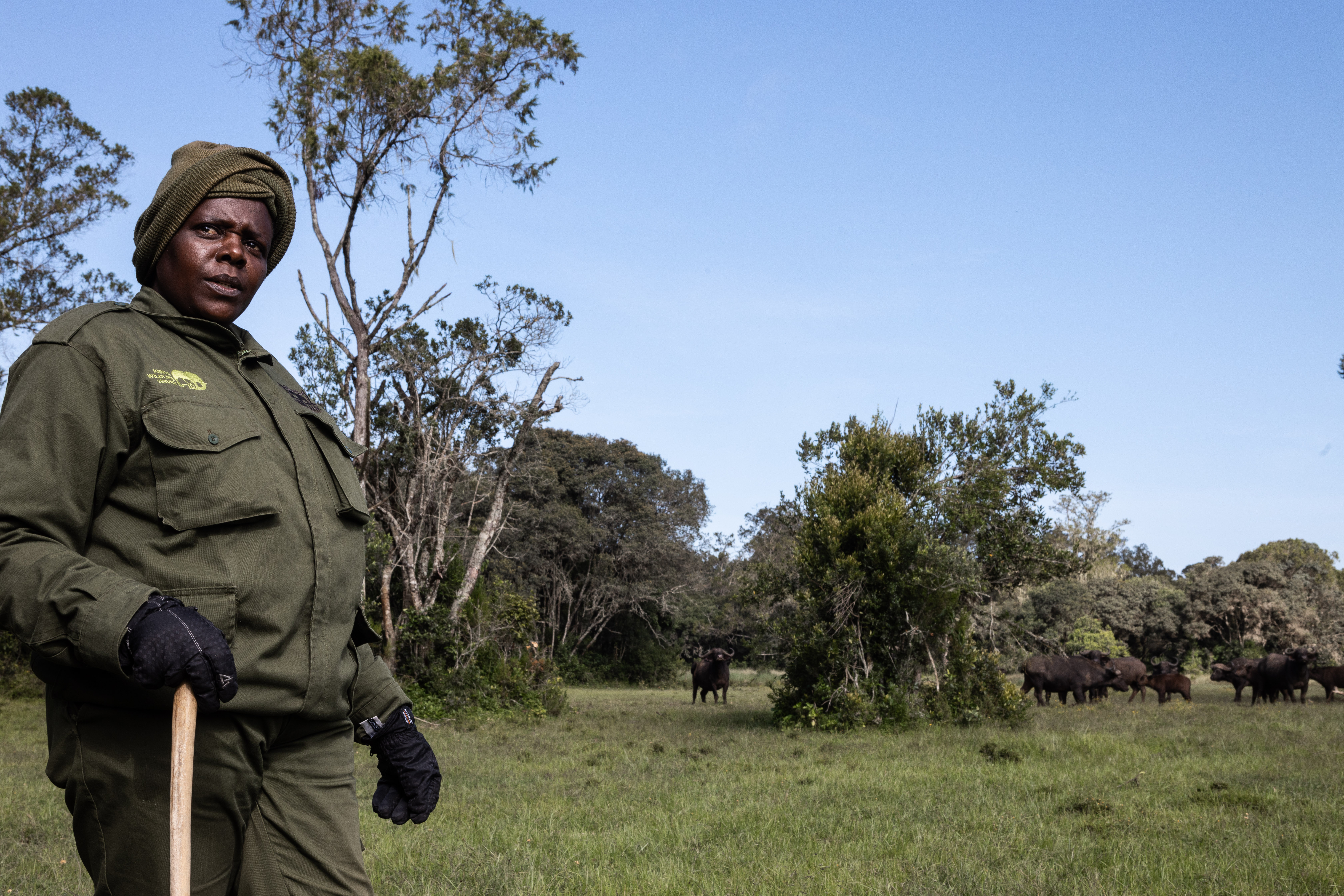 Kenya rangers