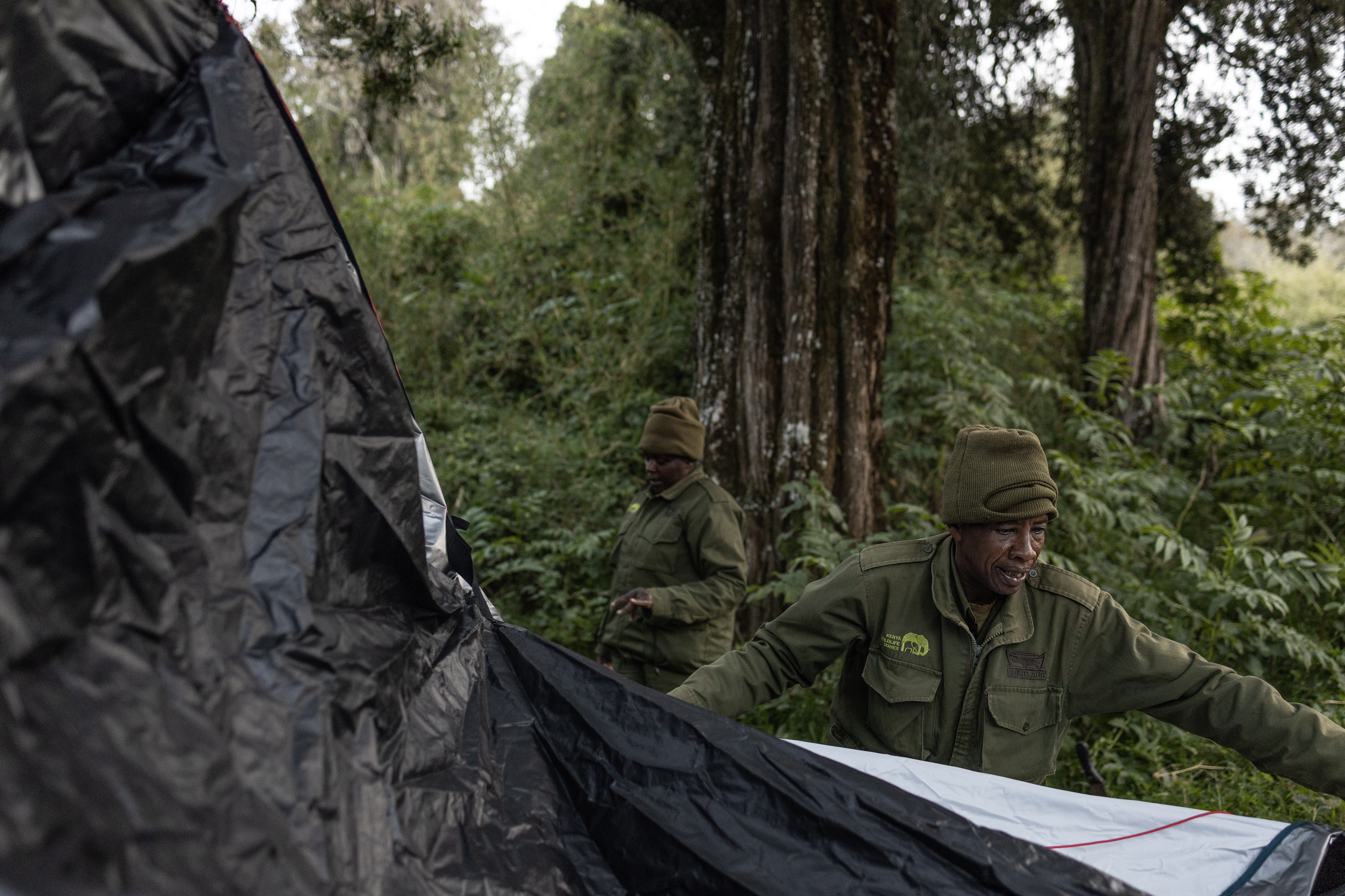 Kenya rangers