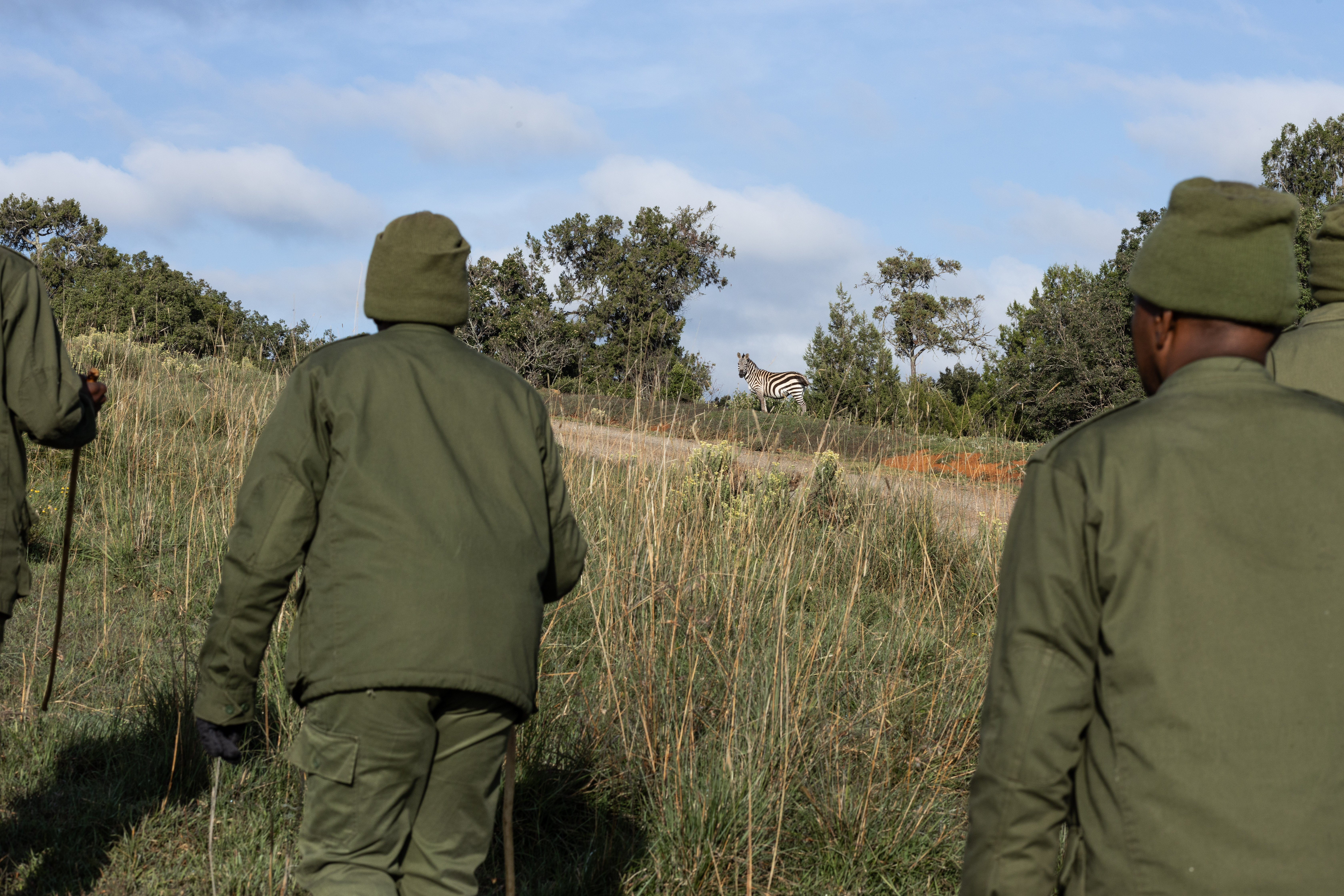 Kenya rangers