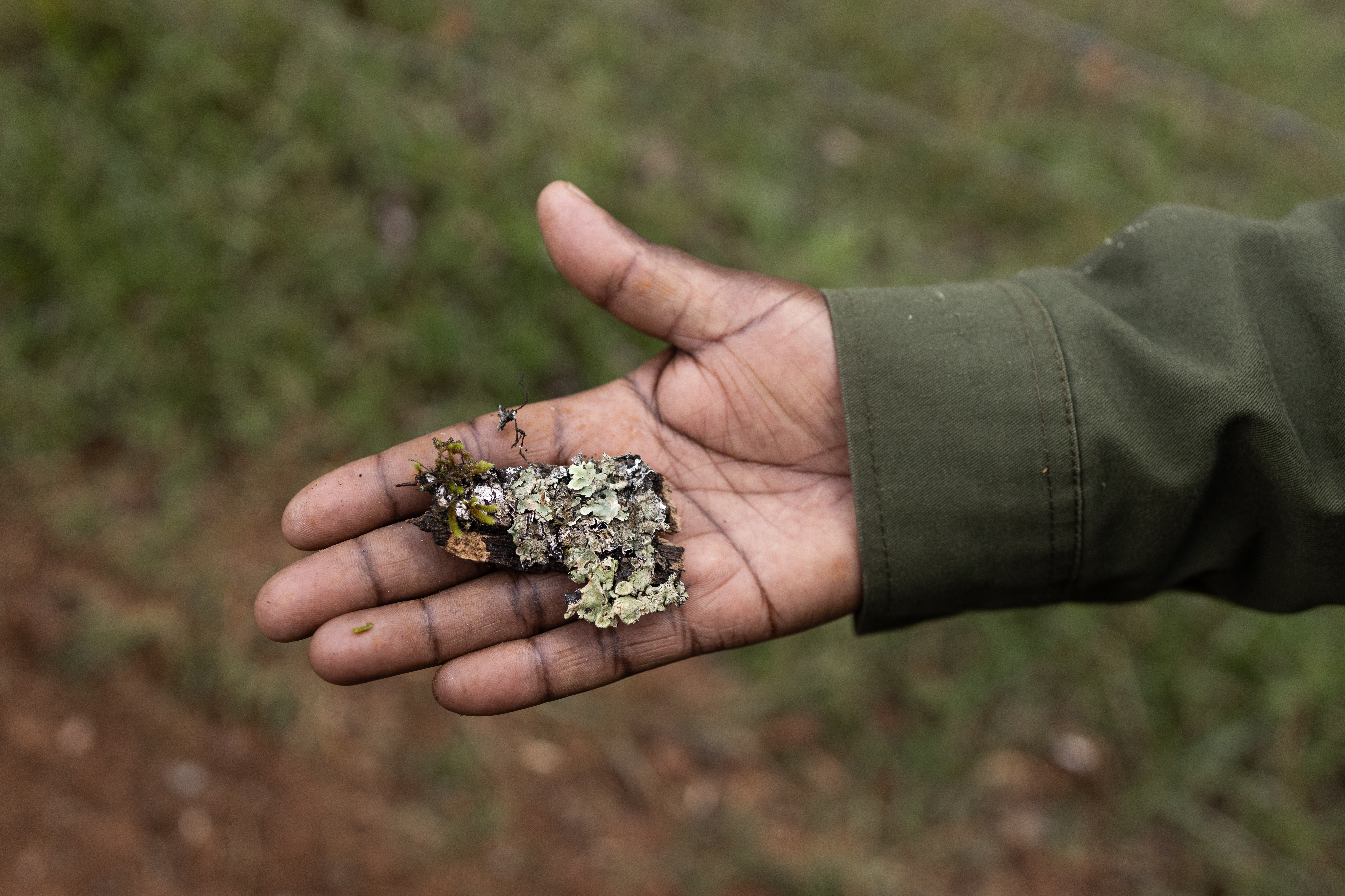 Kenya rangers