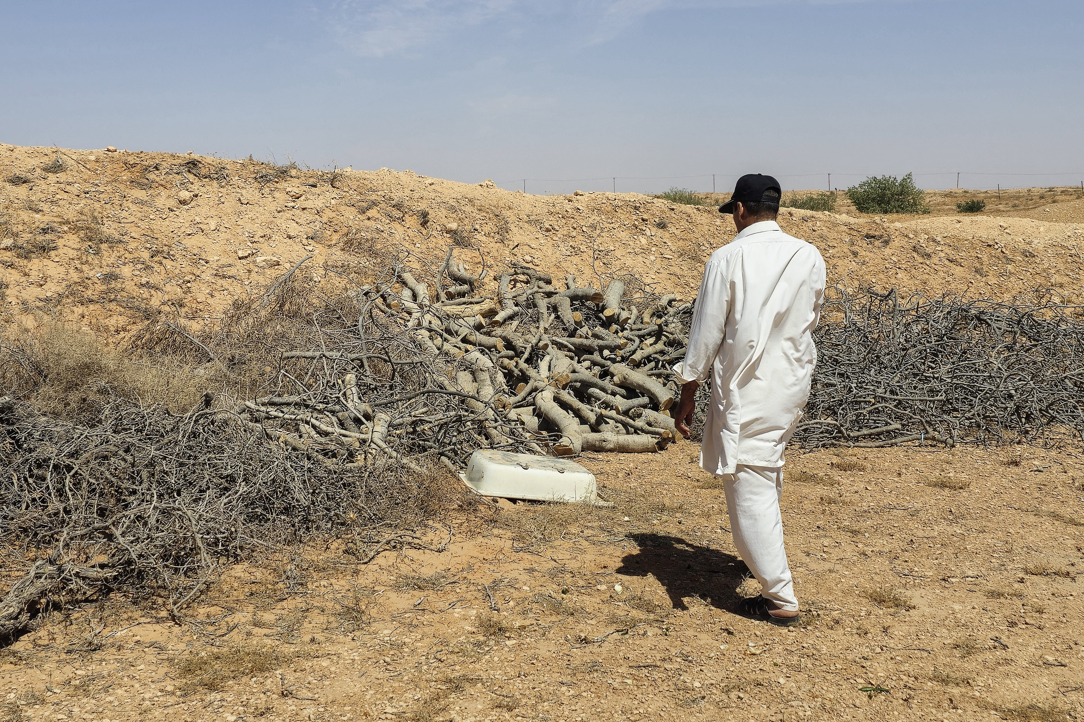 M'hamed Maakaf stands near trunks and branches of trees dried out from drought in his field in the libyan village of Kabao in the Nafusa mountains