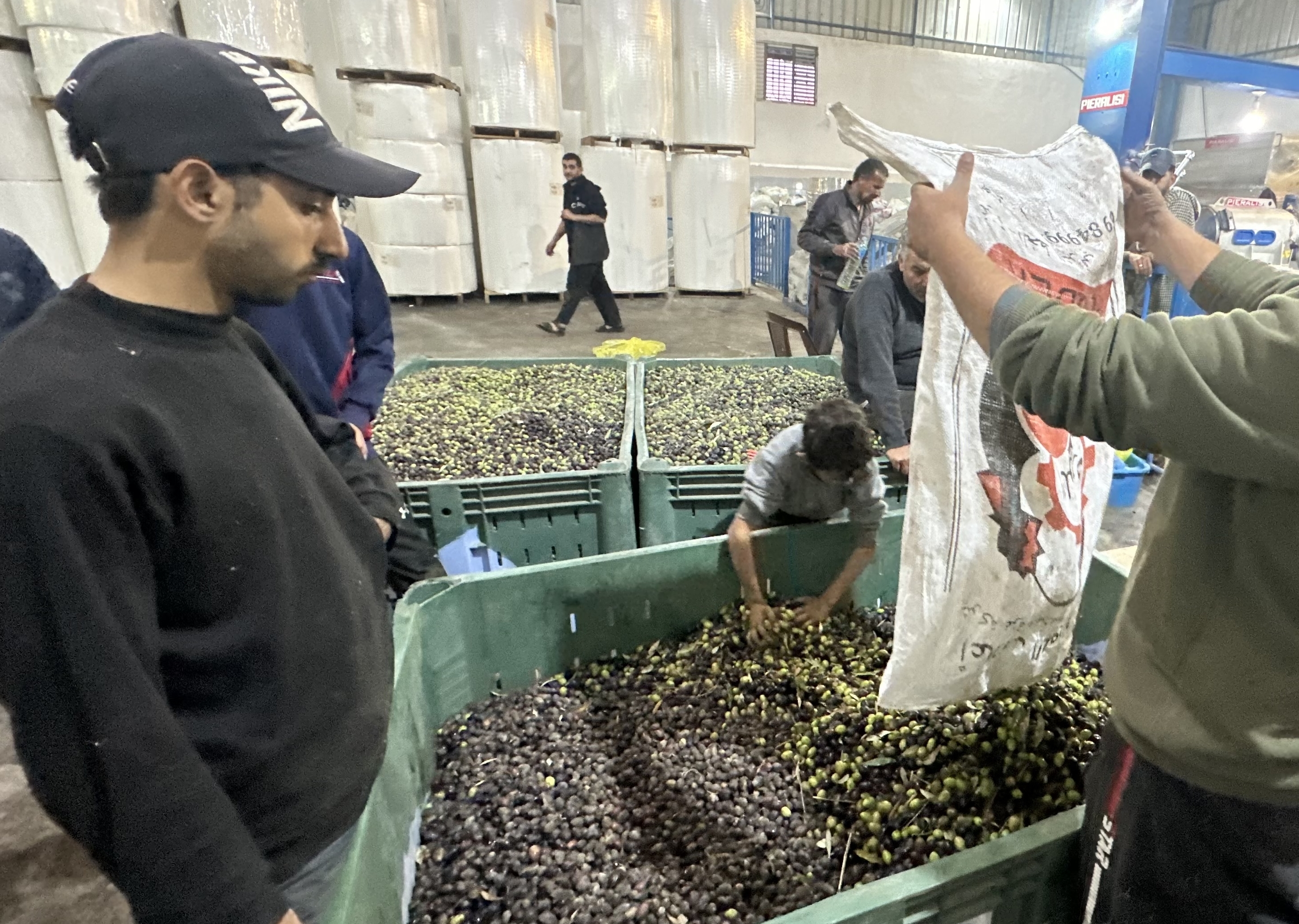 GAZA CITY, GAZA - NOVEMBER 27: Palestinian farmers work to squeeze the olive crops they harvested to obtain olive oil during the last day of the 4 day humanitarian pause in Gaza City, Gaza on November 27, 2023. (Photo by Doaa Albaz/Anadolu via Getty Images)