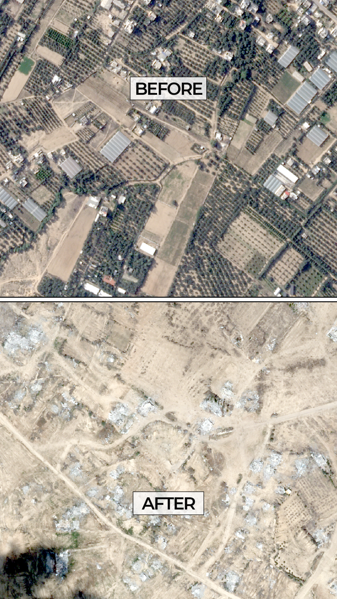 INTERACTIVE Gaza agriculture land vertical-1719403810