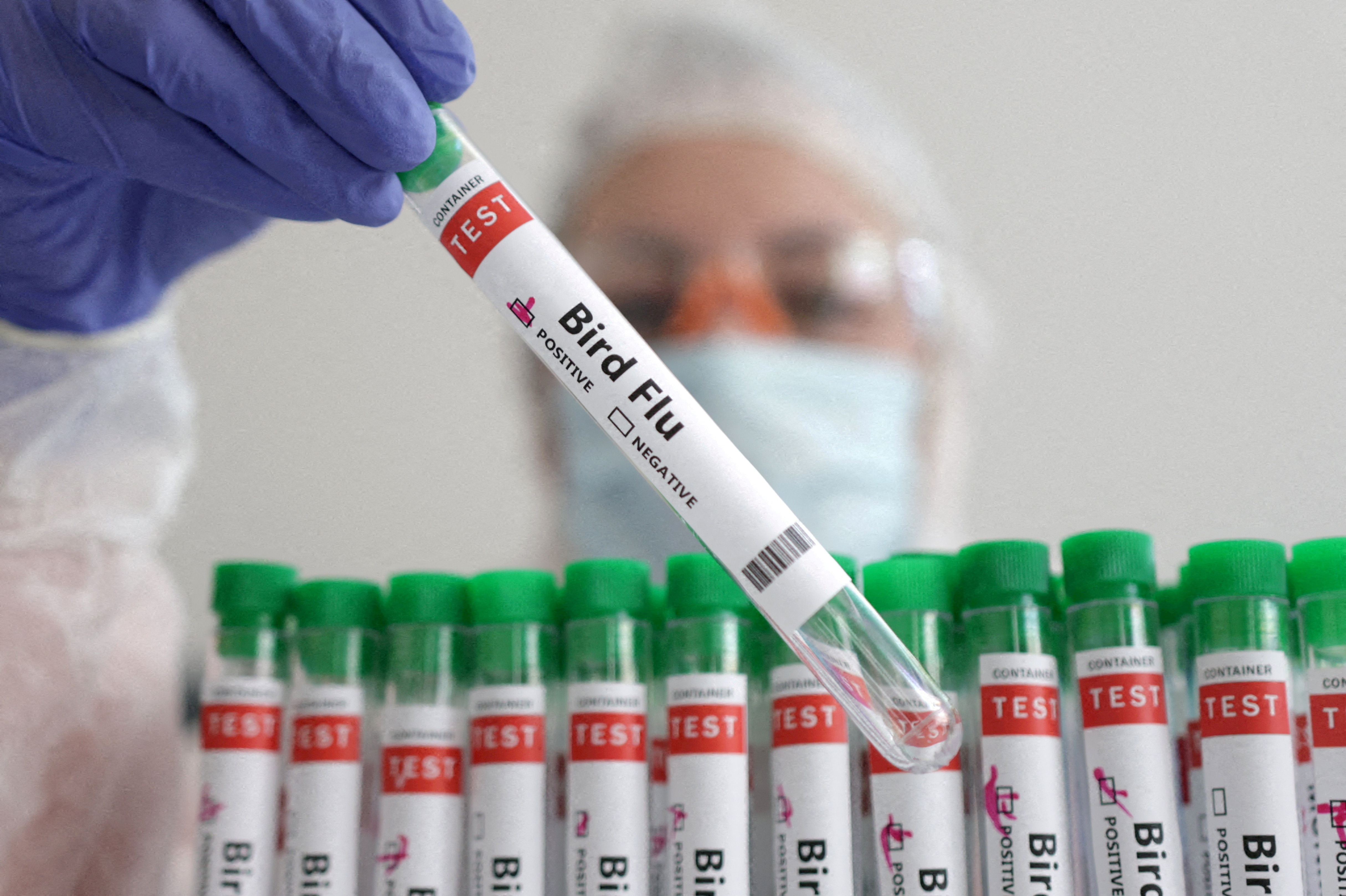 FILE PHOTO: A person holds a test tube labelled "Bird Flu", in this picture illustration, January 14, 2023. REUTERS/Dado Ruvic/Illustration/File Photo
