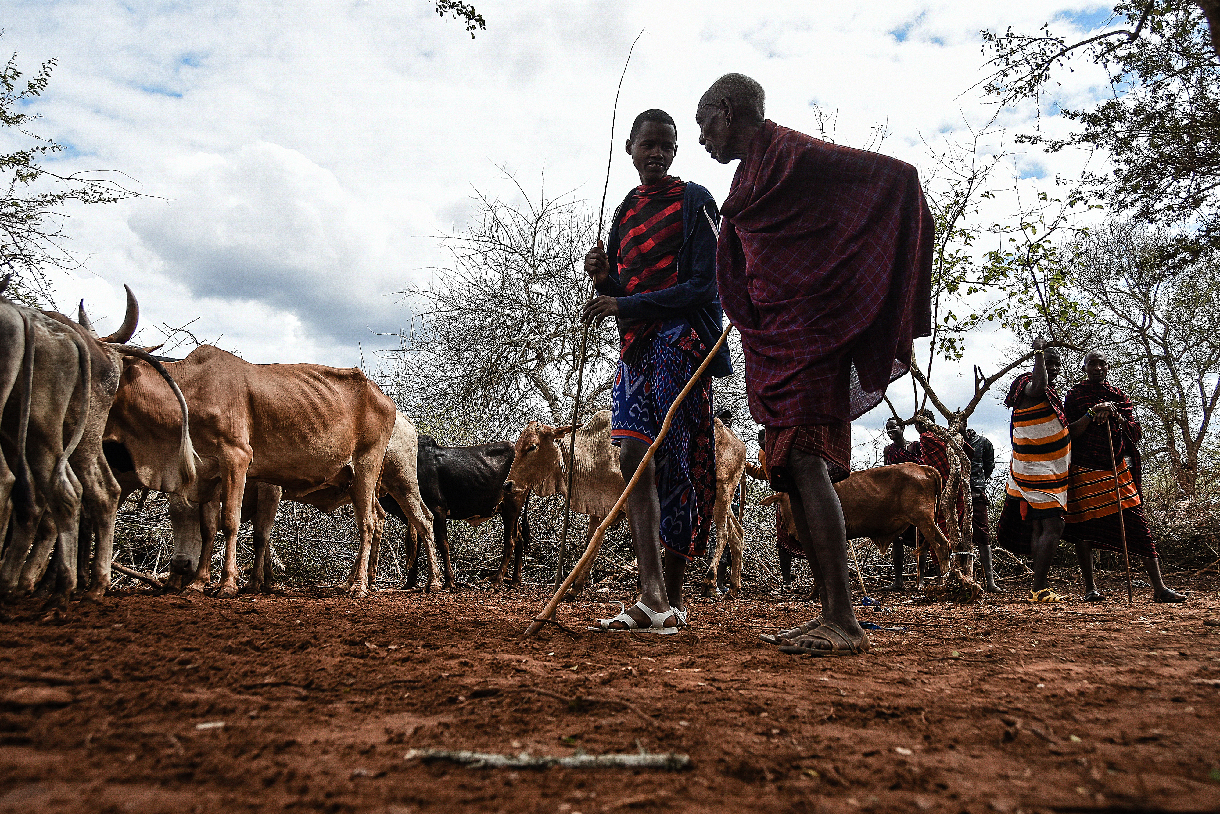 Maasai in handeni