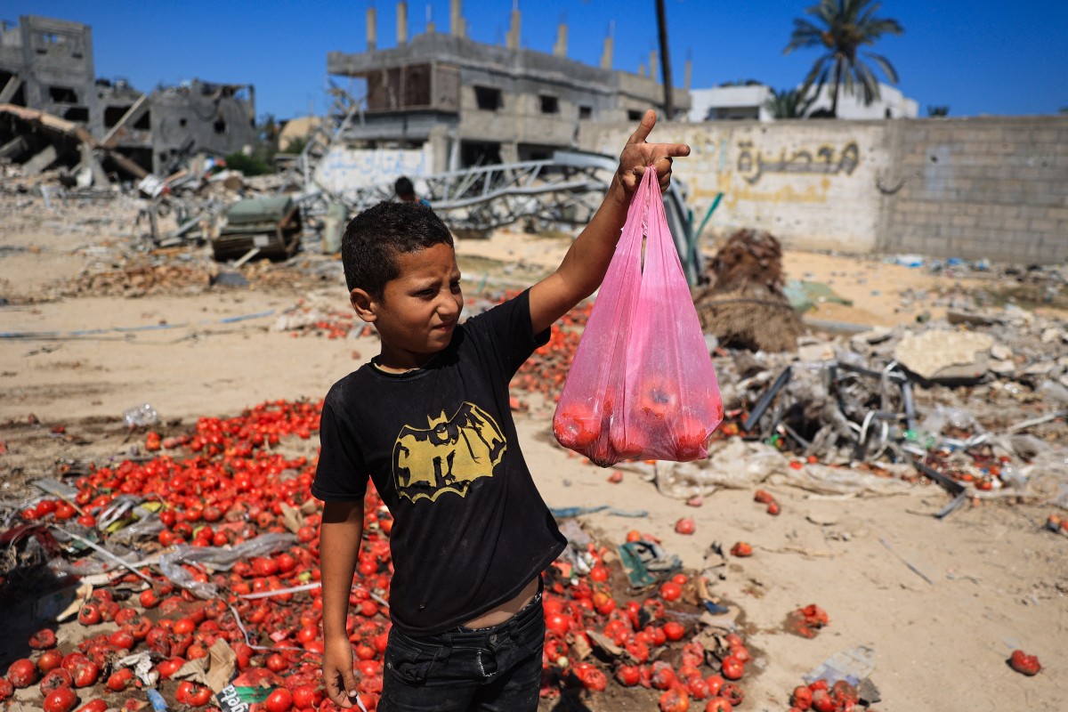 Life and death in Gaza's 'safe zone'