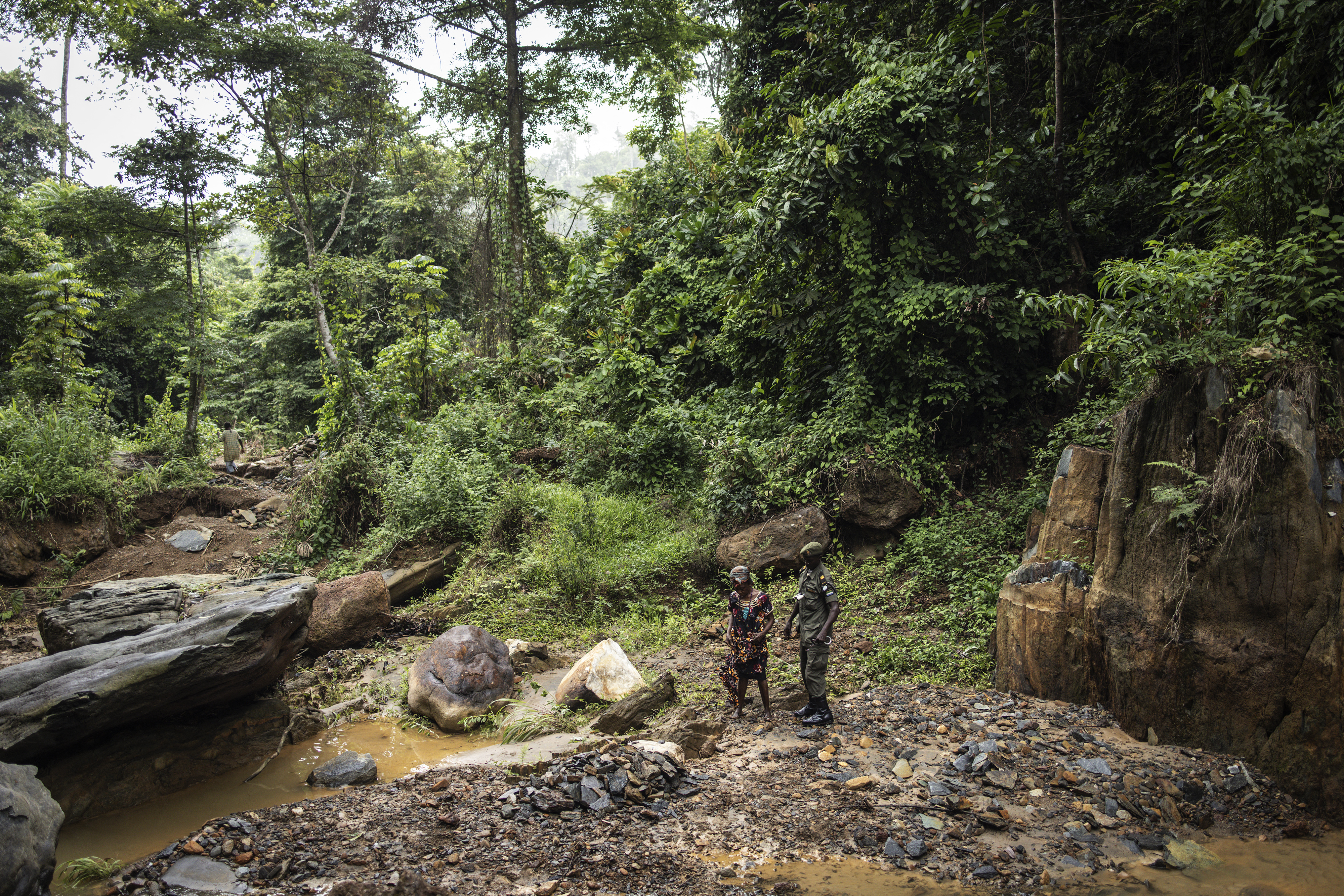Sierra Leone rangers face a tough fight against deforestation