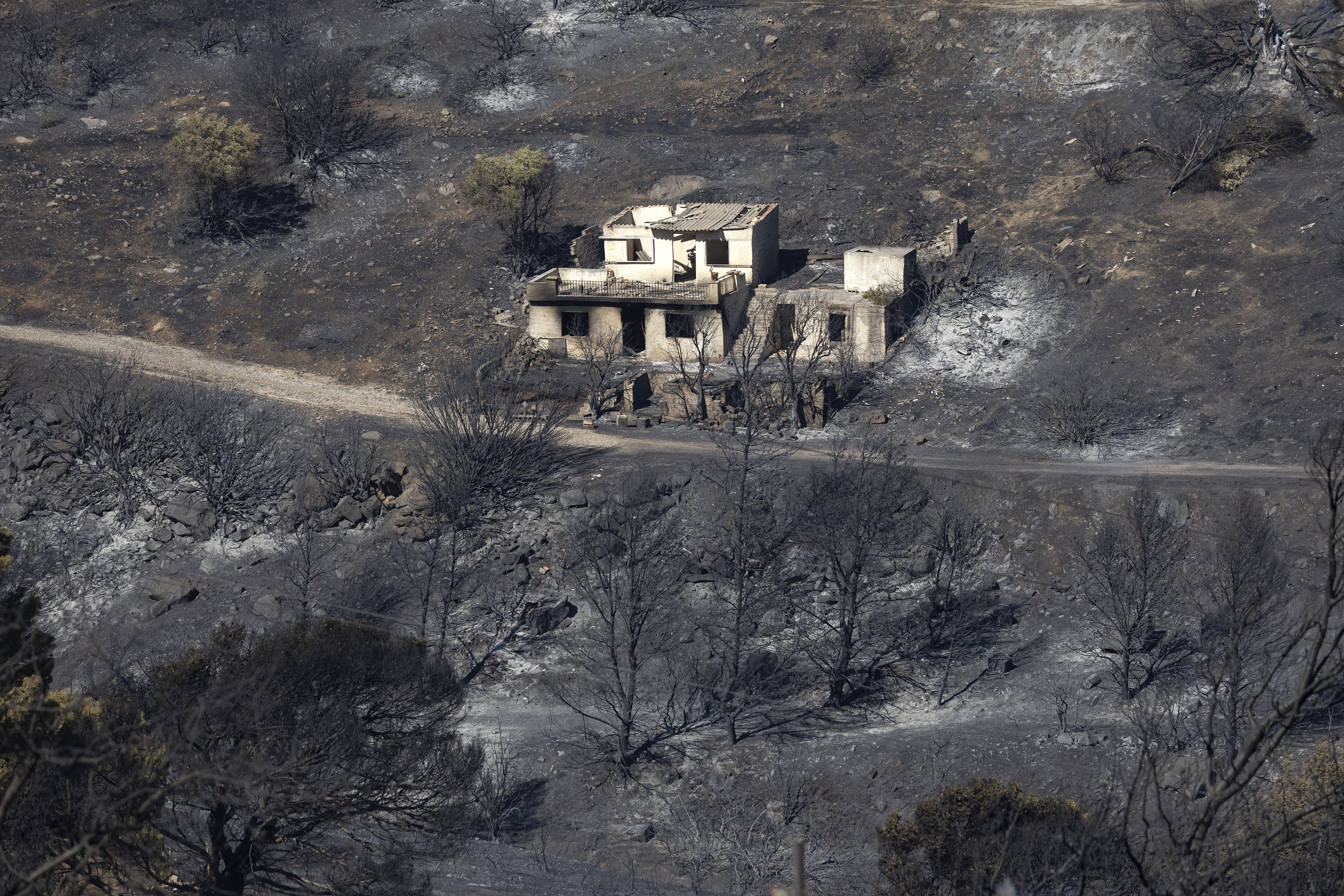 Firefighters were battling a series of wildfires near the Greek capital Athens on Sunday evening