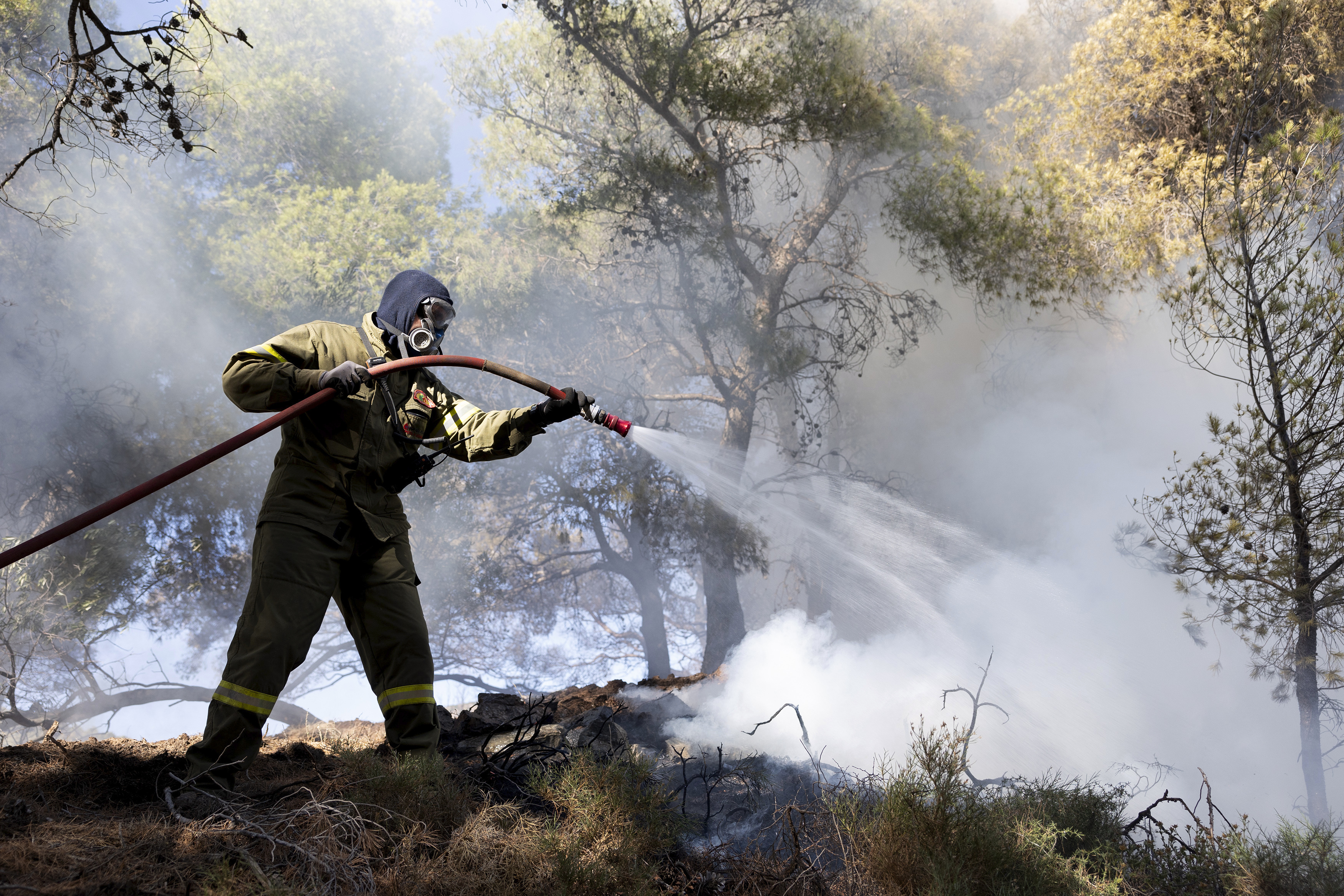 Firefighters were battling a series of wildfires near the Greek capital Athens on Sunday evening