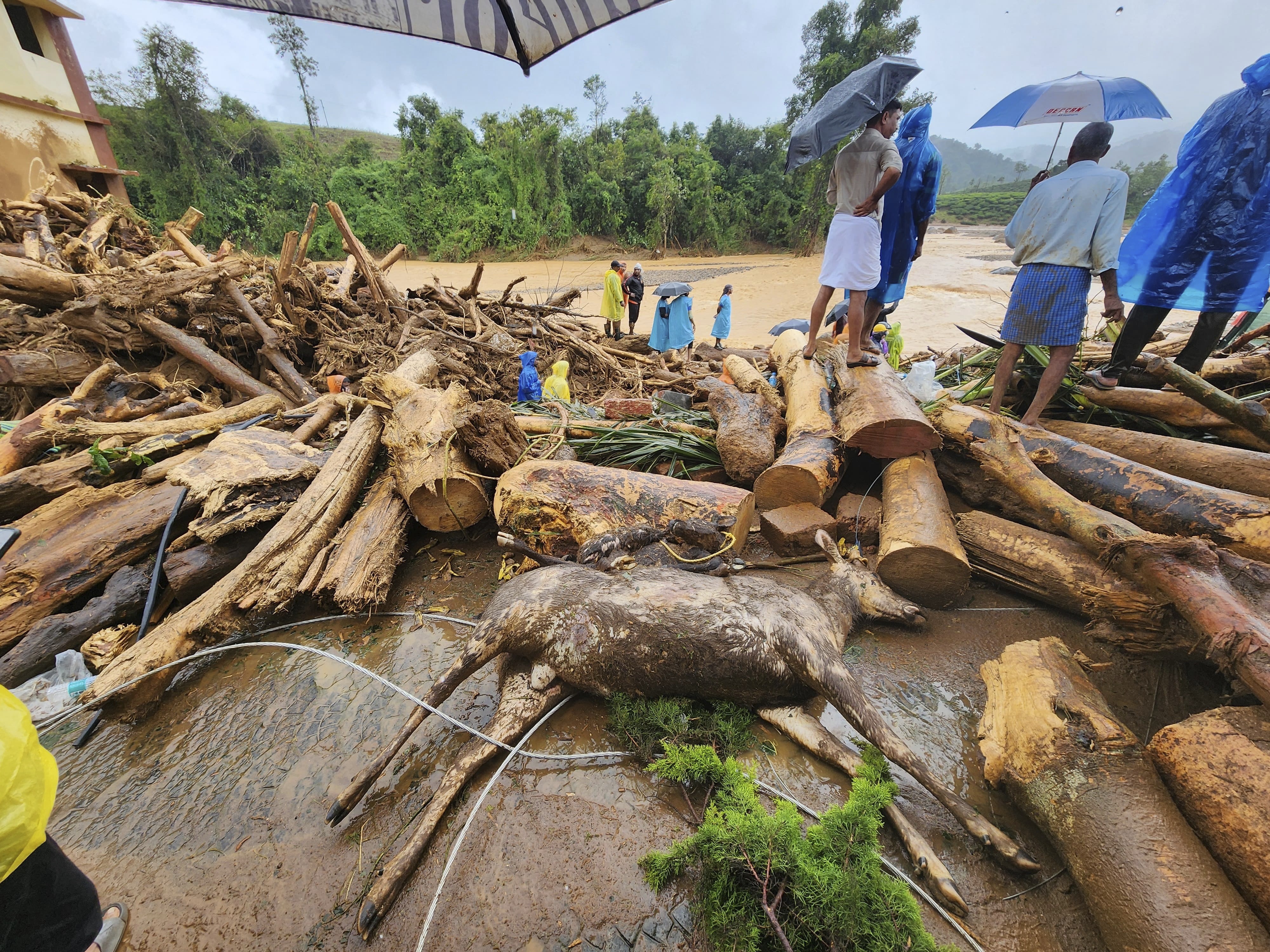 Kerala landslides