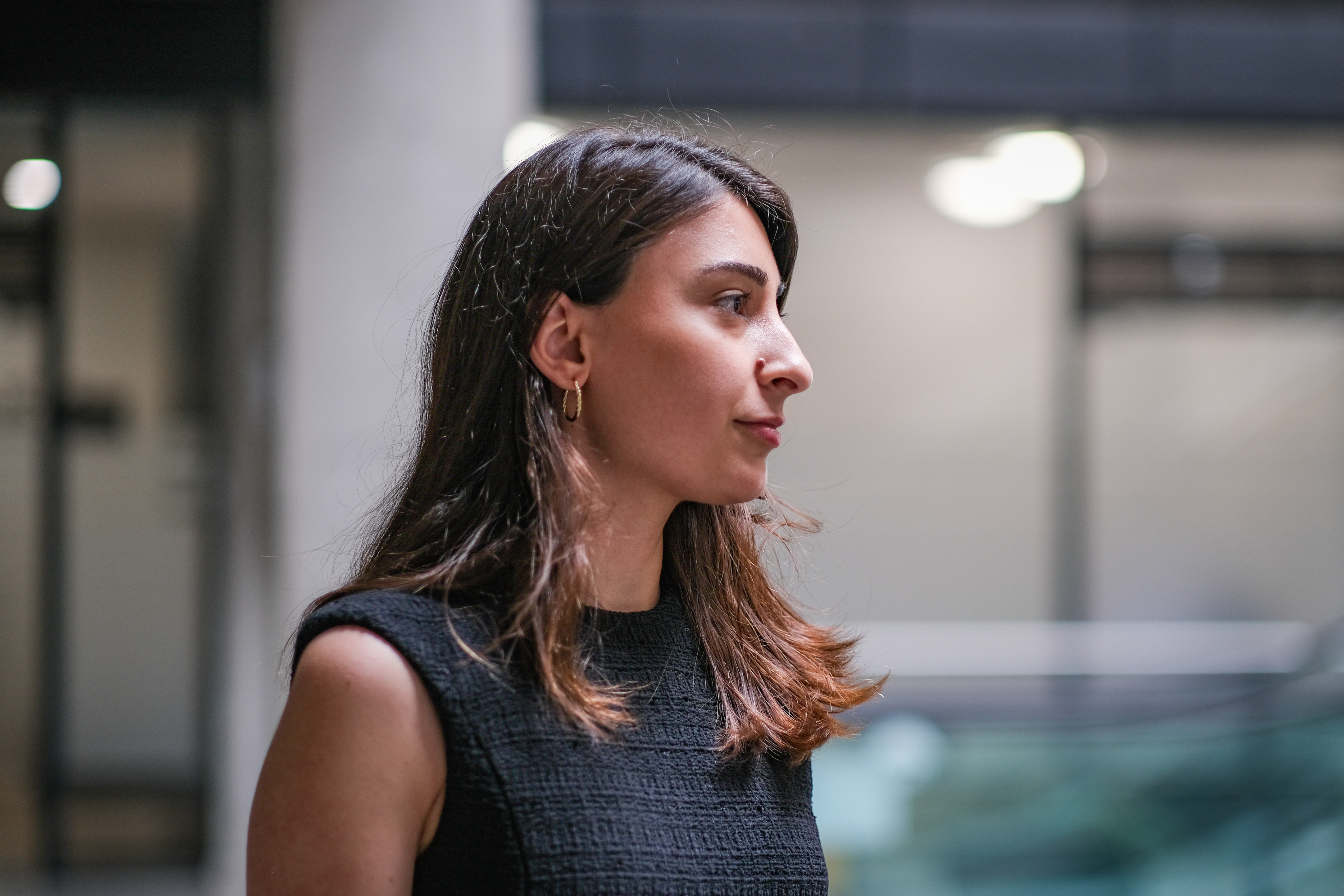 Georgia Transparency international