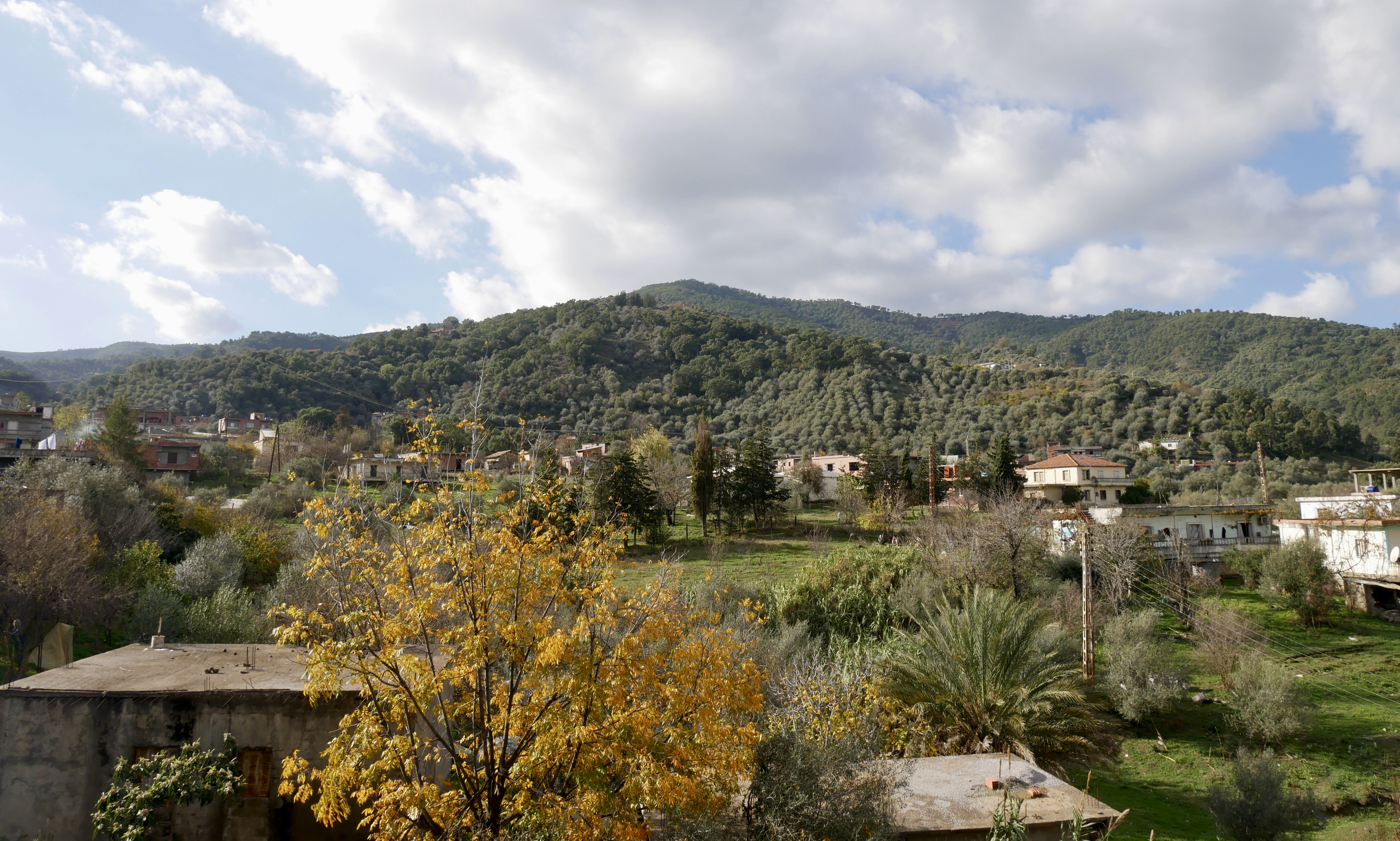 My great-aunt, the Algerian revolutionary
