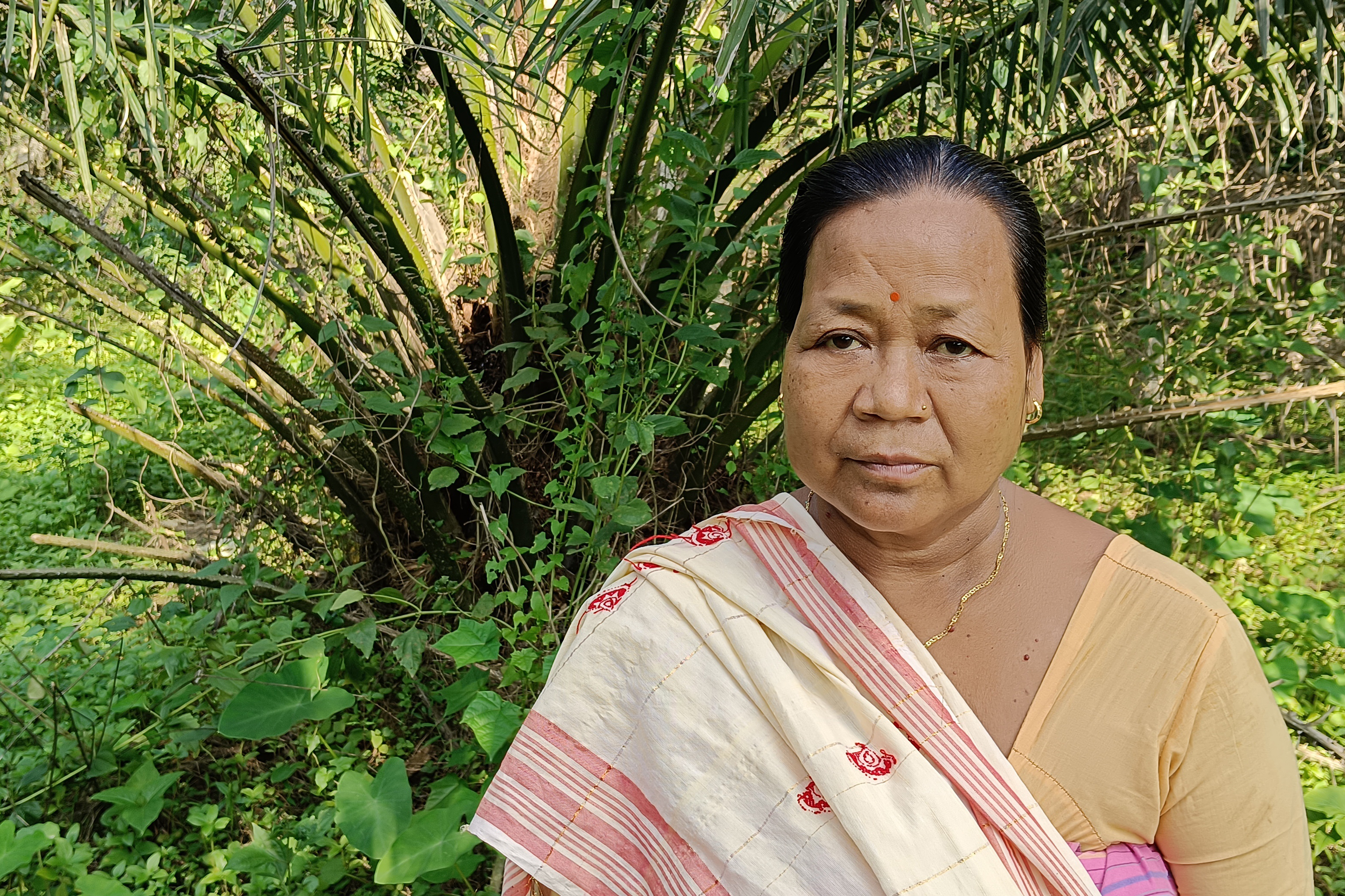 Palm oil in Assam