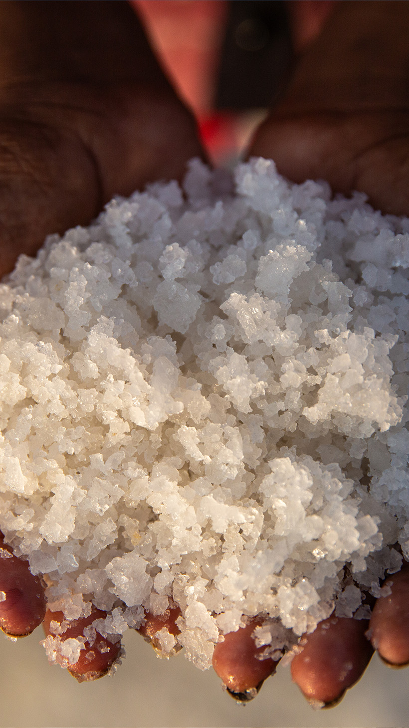 Two hands hold out a pile of salt.