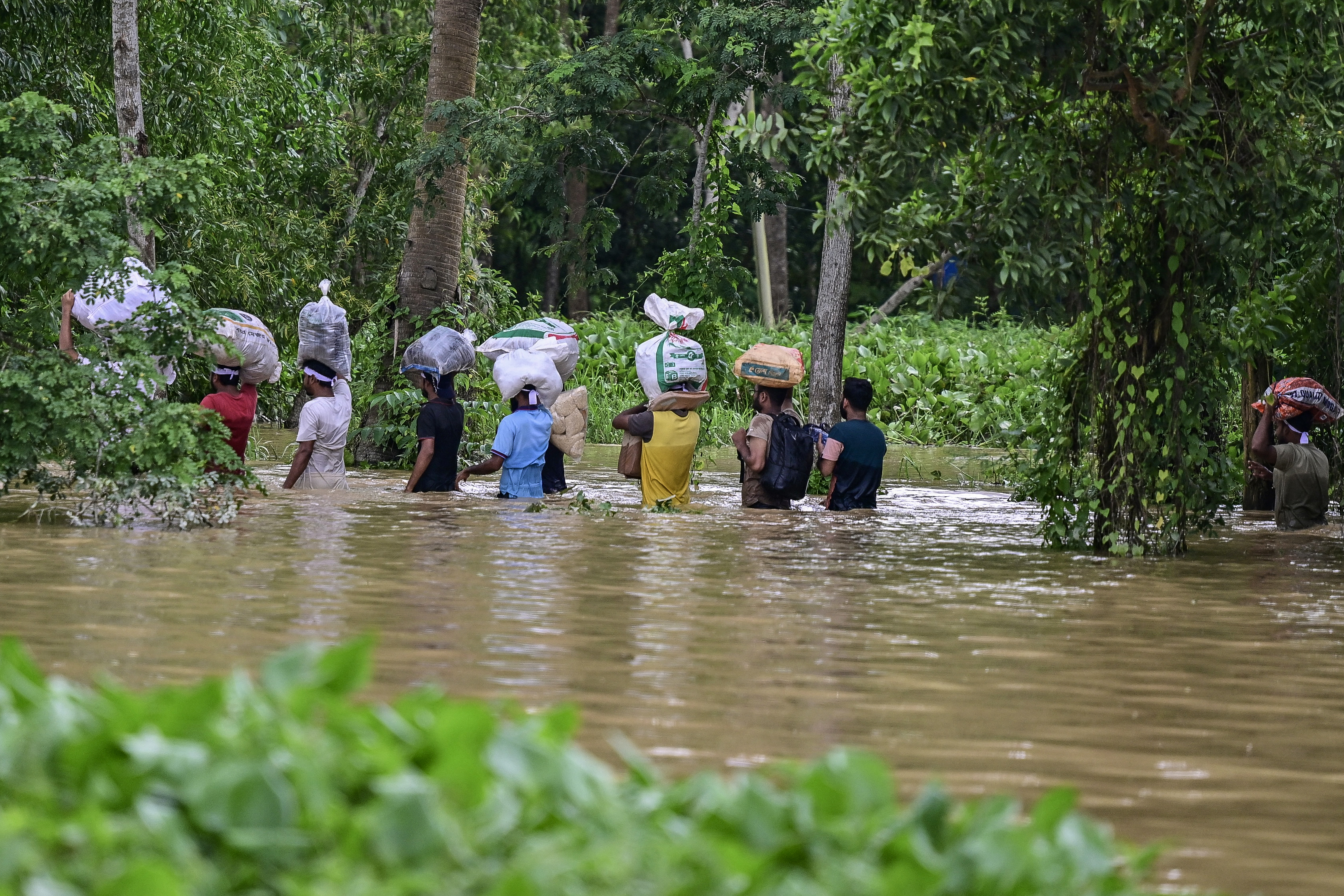 Volunteers carry relief materials for flood-affected people in Feni